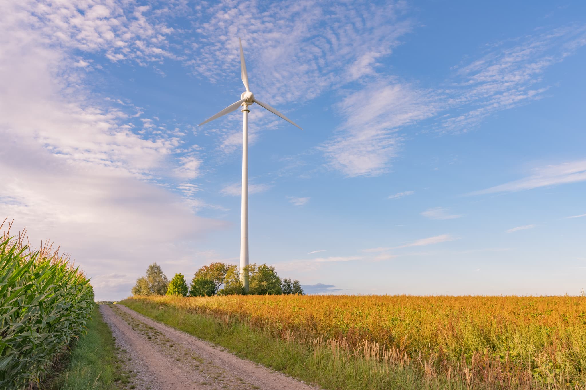 Windpark bei Dirnaich, Gangkofen, Rottal-Inn, Niederbayern, Deutschland. Ländliche Landschaft im Holzland mit Feldern und Windkraftanlage unter blauem Himmel.