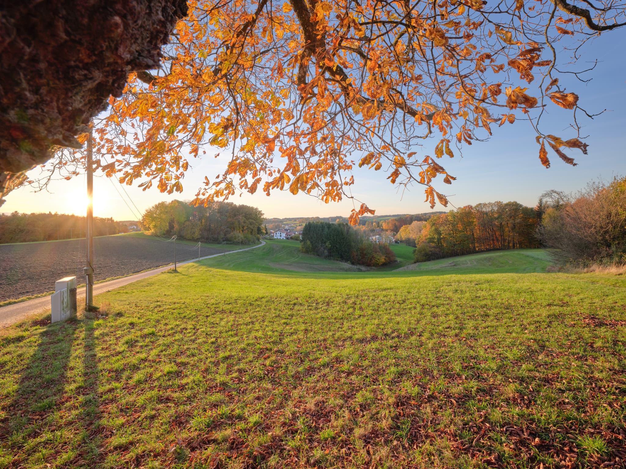 Herbstliche Landschaft in Petzlberg, Reischach, Altötting, Oberbayern. Region Inn-Salzach, Deutschland, mit Kastanie, grünen Wiesen und Wäldern.