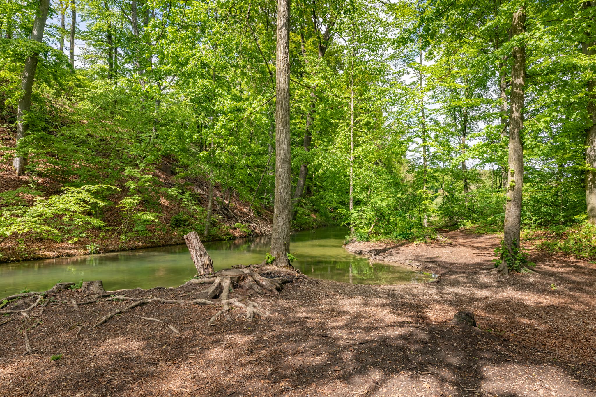 Mühlbach im Wald bei Garching, Altötting, Oberbayern, Deutschland. Frühlingslandschaft der Region Inn-Salzach mit frischem Grün, ruhigem Bachlauf und Naturpfad.