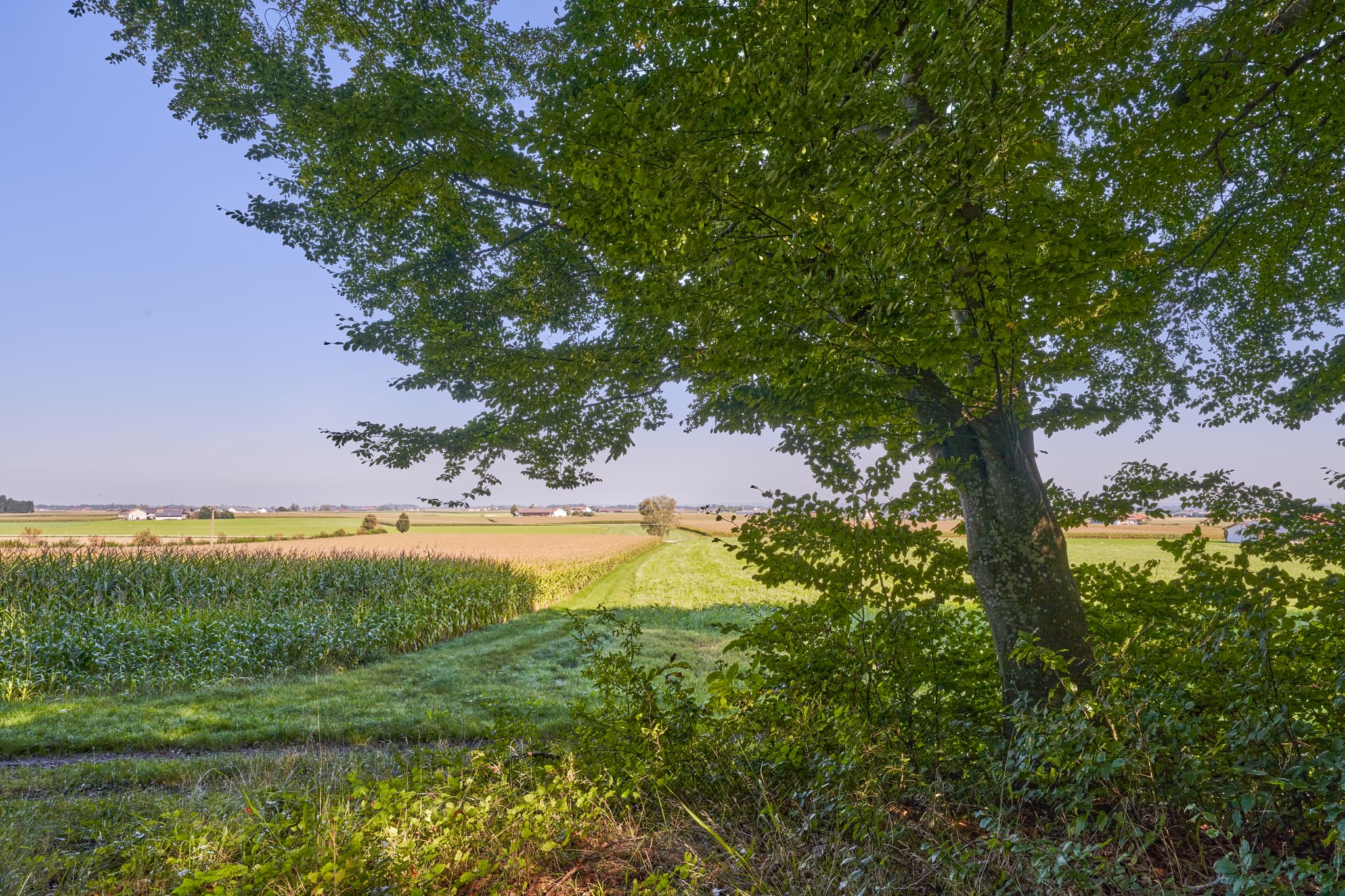 Weitläufige Landschaftsaufnahme nahe Kastl, Landkreis Altötting, Oberbayern, Inn-Salzach, Deutschland. Blick über Felder und einen Pilgerweg am Steinbruch.