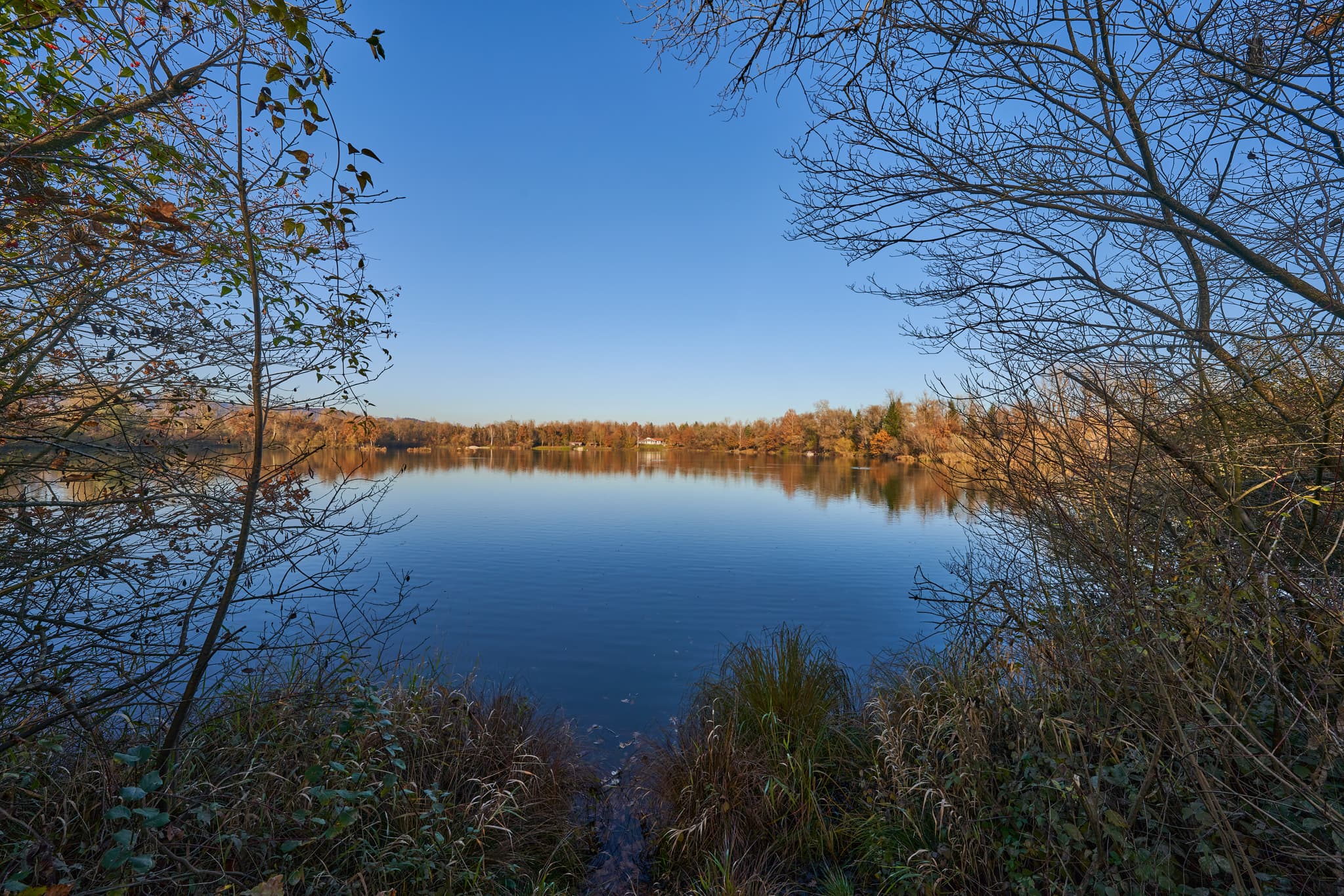Waldsee Lago in Kirchdorf am Inn, Rottal-Inn, Niederbayern. Herbstliche Landschaft im Bäderdrieck, Deutschland, mit klarem Wasser, Bäumen und blauem Himmel.