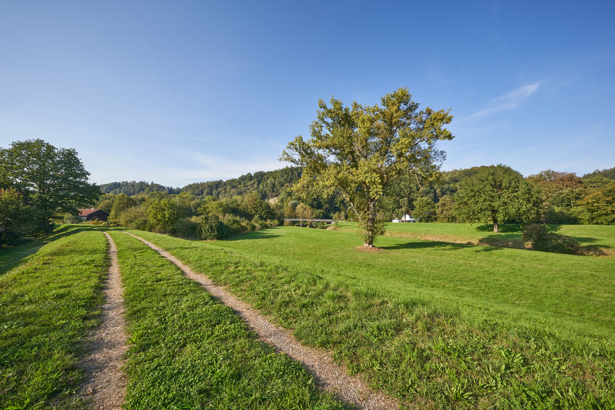 Feldweg durch grüne Wiesen nahe Steinhöring entlang der Isen, Winhöring, Landkreis Altötting, Oberbayern. Landschaft mit Bäumen, Inn-Salzach, Deutschland.