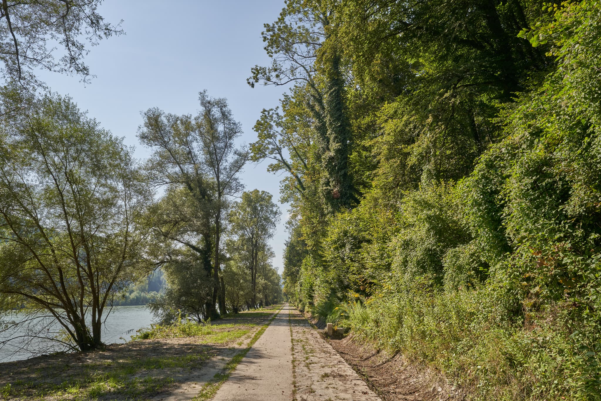 Ein Weg verläuft entlang der Salzach bei Burghausen im Landkreis Altötting, Oberbayern, Deutschland, Inn-Salzach.