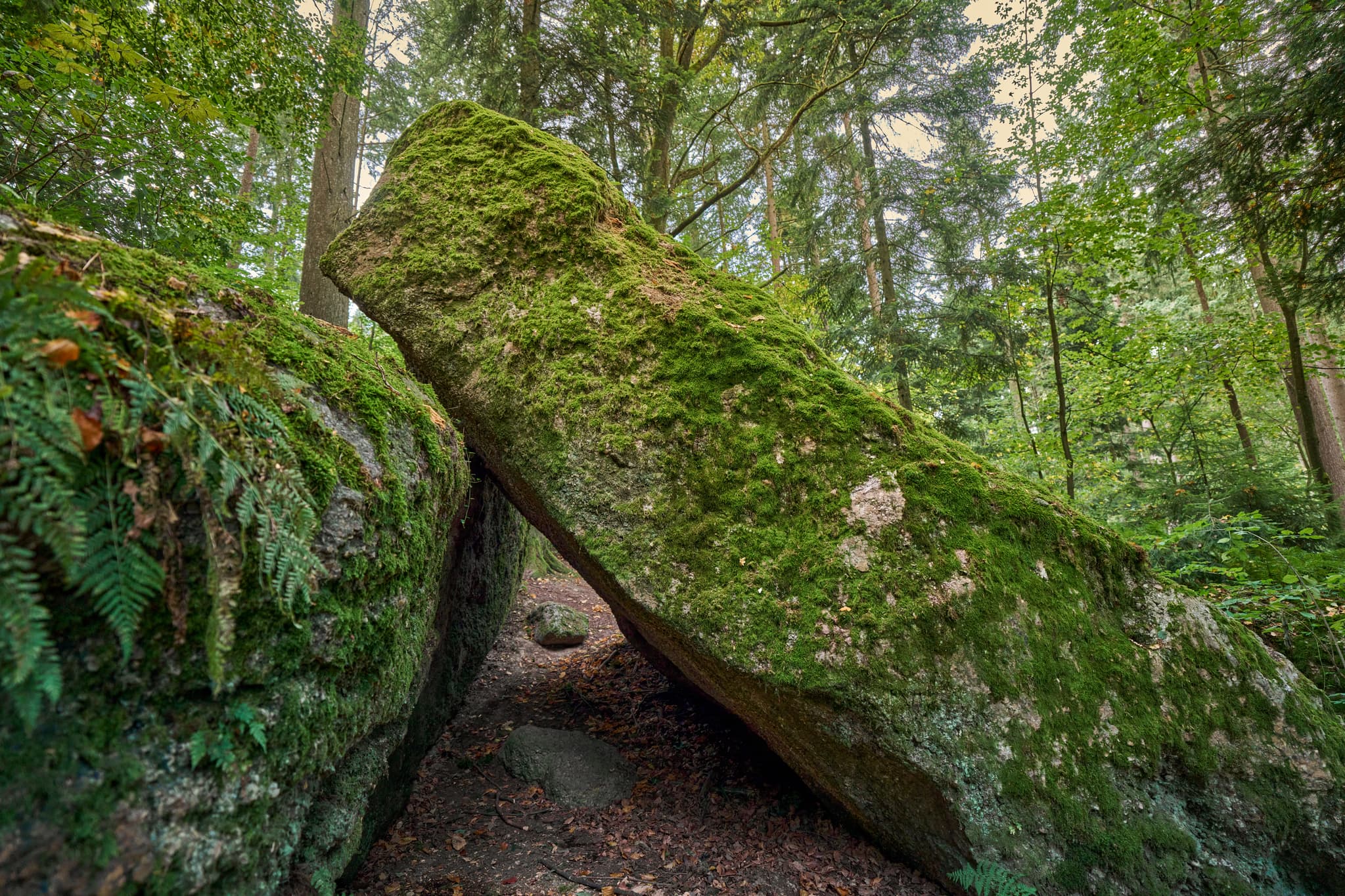 Teufelsstein in Bad Griesbach, Landkreis Passau, Niederbayern, Bayern, Deutschland. Das Bild zeigt Details der Felsstrukturen mit Farbreste.
