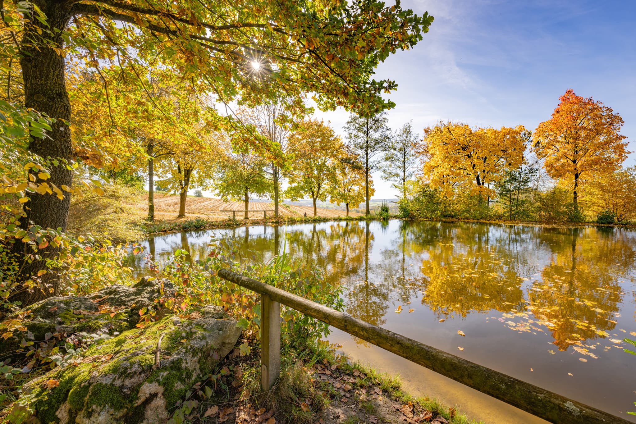 Herbstliche Pracht im Kurpark von Bad Griesbach im Rottal, Landkreis Passau, Niederbayern. Eine idyllische Szene aus Deutschland.