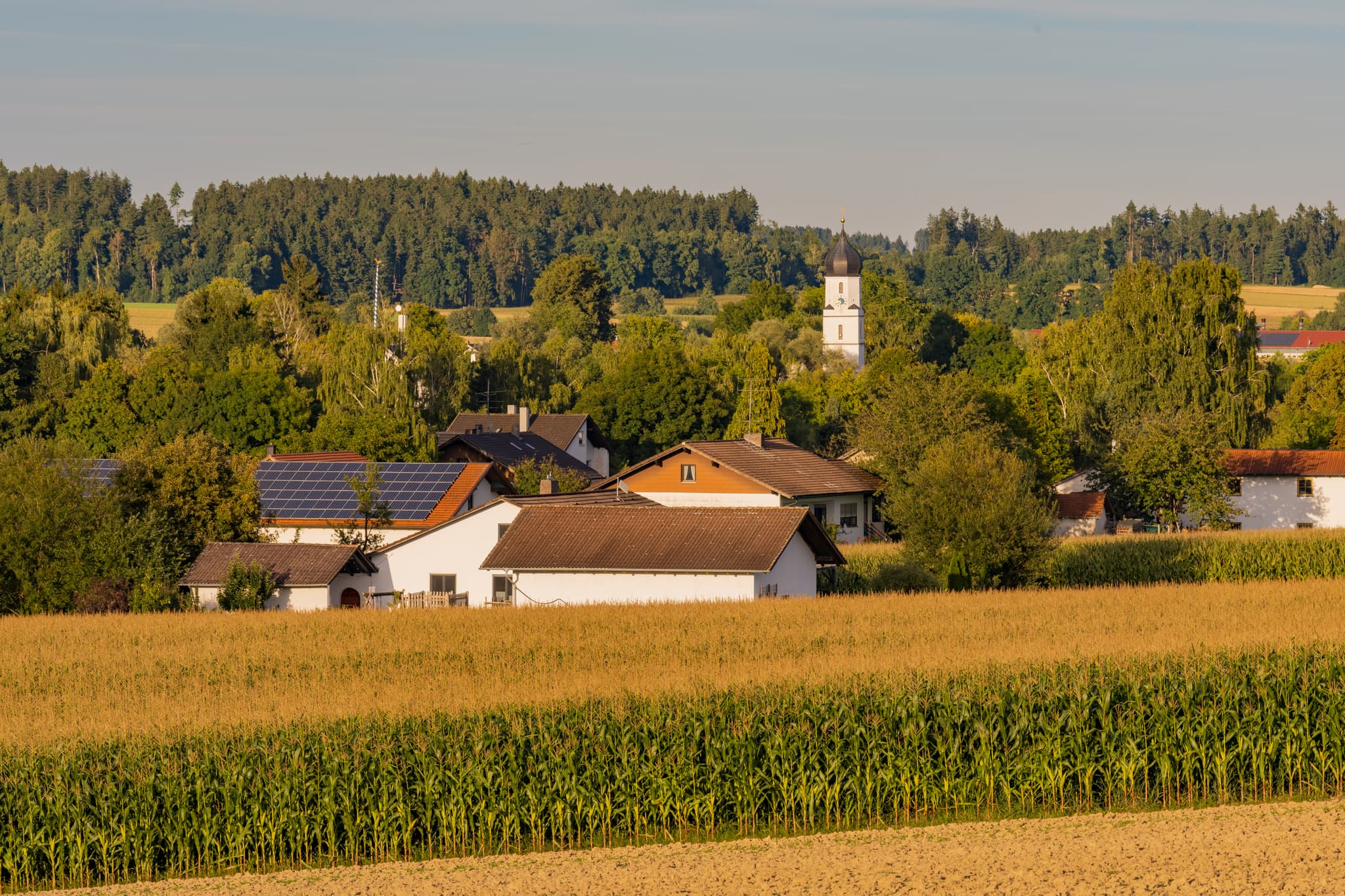 Ortsansicht von Dirnaich bei Gangkofen, Landkreis Rottal-Inn, Niederbayern, Deutschland. Die Kirche St. Martin dominiert die ländliche Landschaft im Holzland.