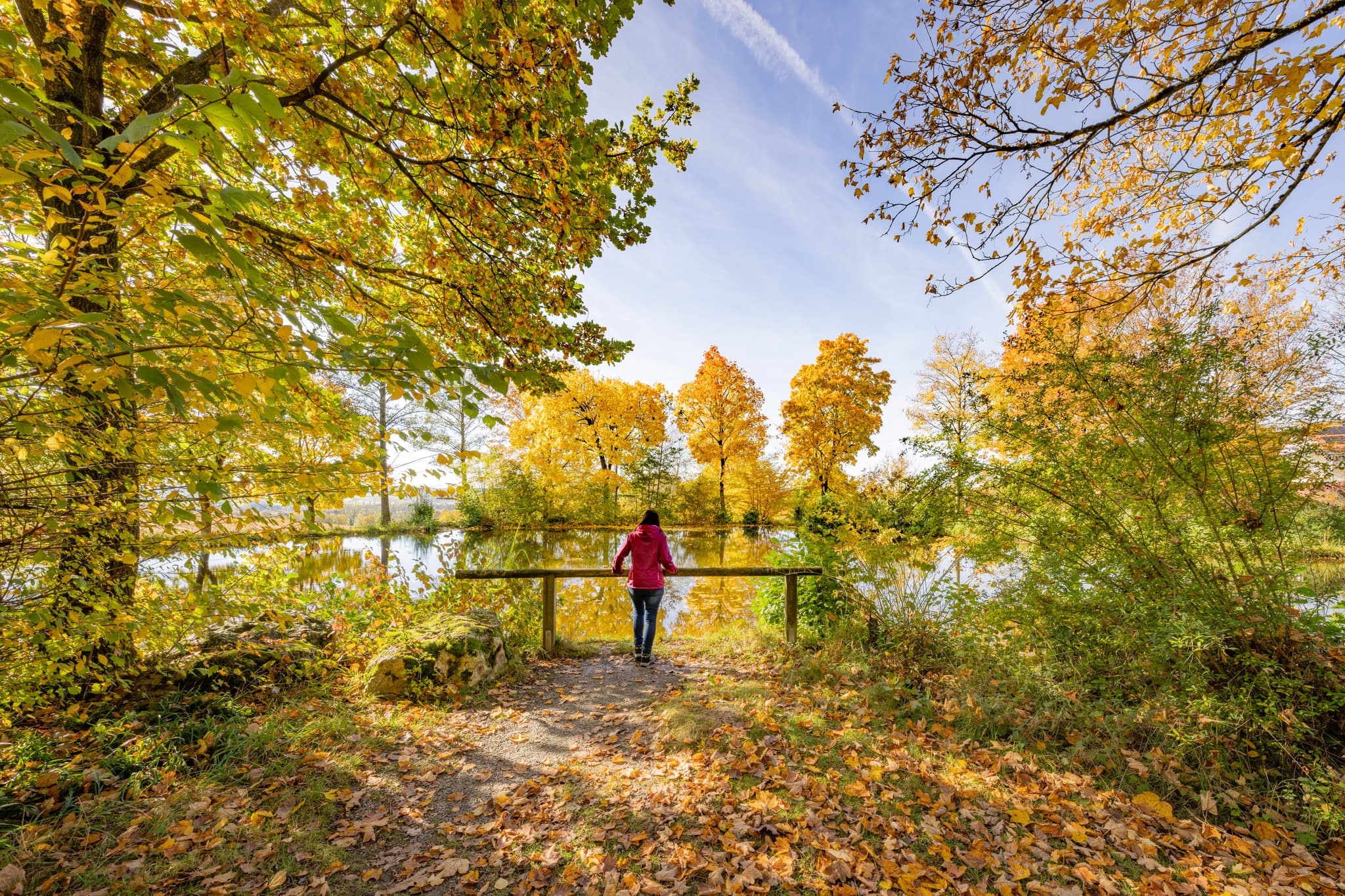 Idyllische Herbststimmung im Kurpark Bad Griesbach i. Rottal, Landkreis Passau, Niederbayern. Malerische Landschaft im Bäderdreieck, Deutschland.