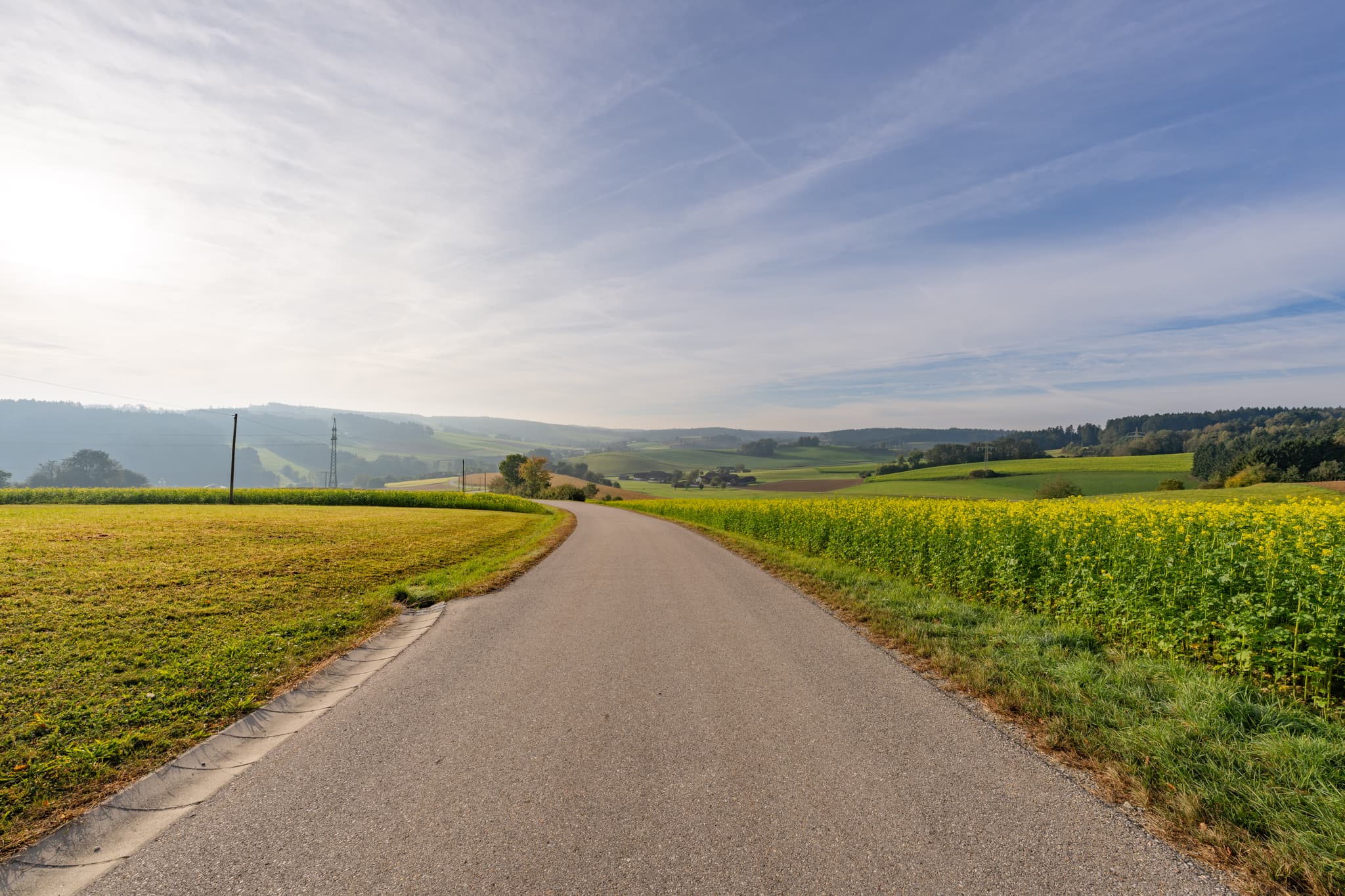 Geschwungene Straße durch Felder und Hügel in Bad Birnbach, Rottal-Inn, Niederbayern. Die Bäderdreieck-Region in Deutschland bietet Natur unter blauem Himmel.