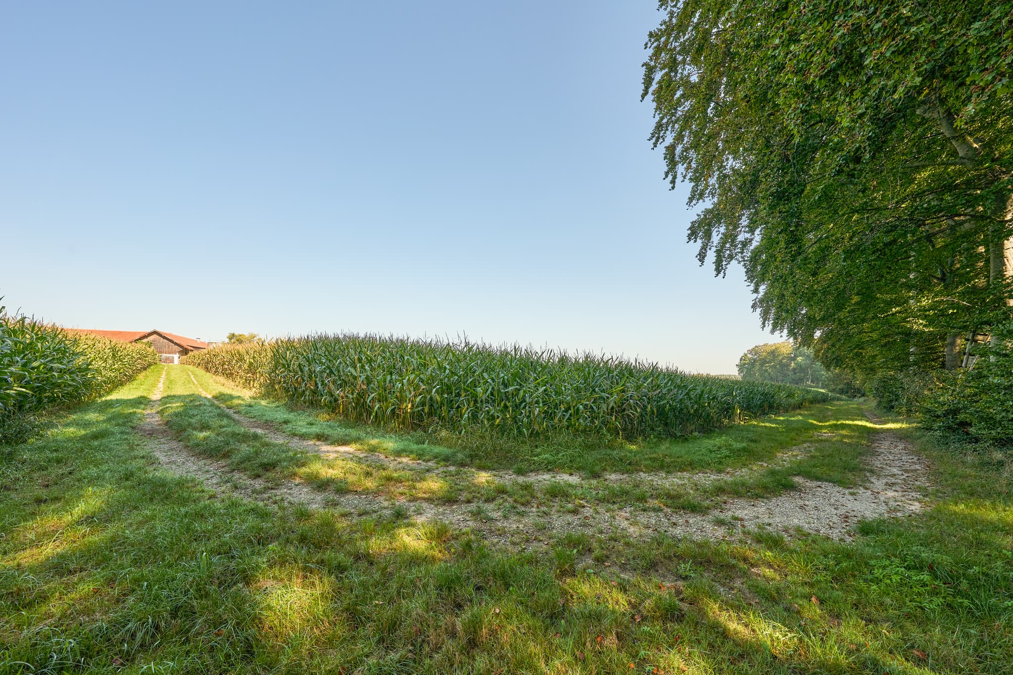 Feldweg durch Felder bei Ofner, Kastl, Altötting, Oberbayern, Inn-Salzach, Deutschland. Ein landwirtschaftliches Gebiet in ruhiger Landschaft.