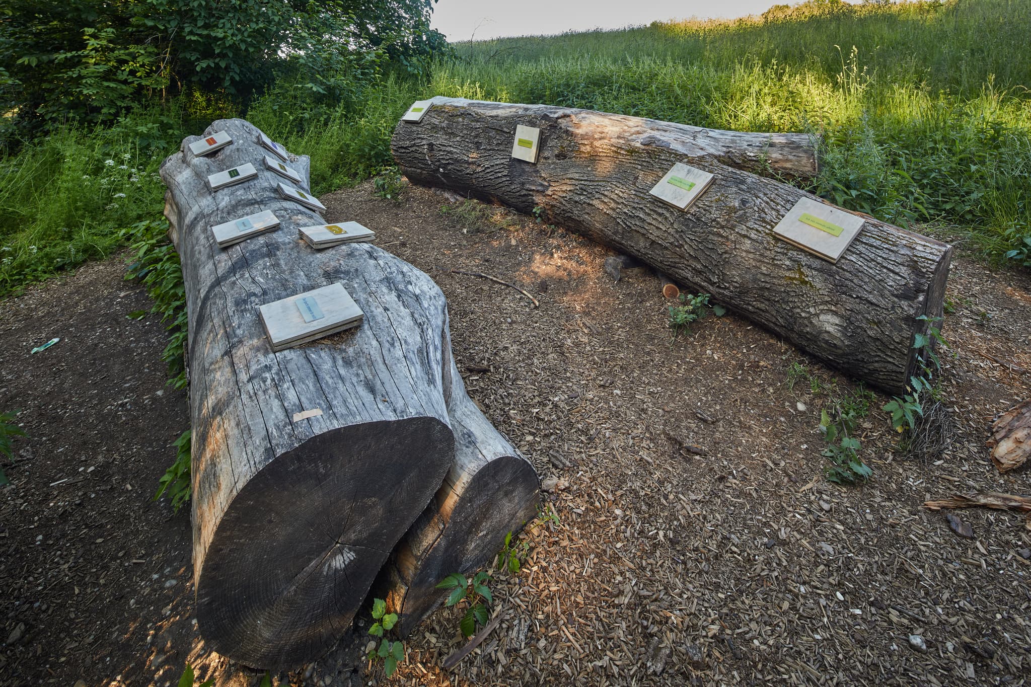 Natur-Erlebnispfad im Gries am Mörnbach bei Altötting, Landkreis Altötting, Oberbayern, Deutschland,