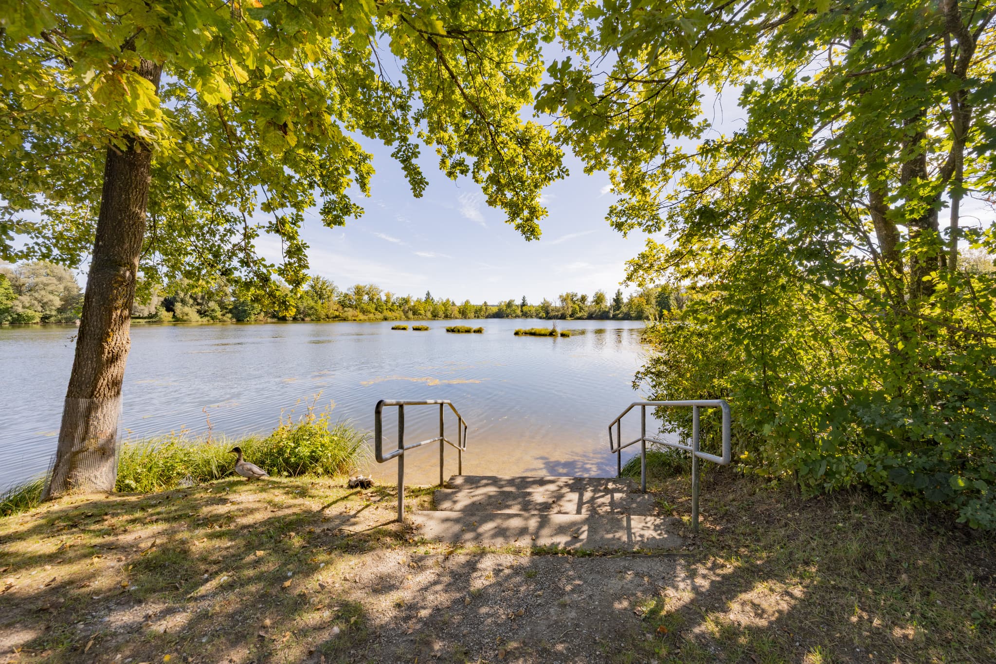 Waldsee „Lago“, Kirchdorf am Inn, Rottal-Inn, Niederbayern. Der Badesee im Bäderdreieck, Deutschland, mit klarem Wasser und grünen Ufern, ideal zur Erholung.