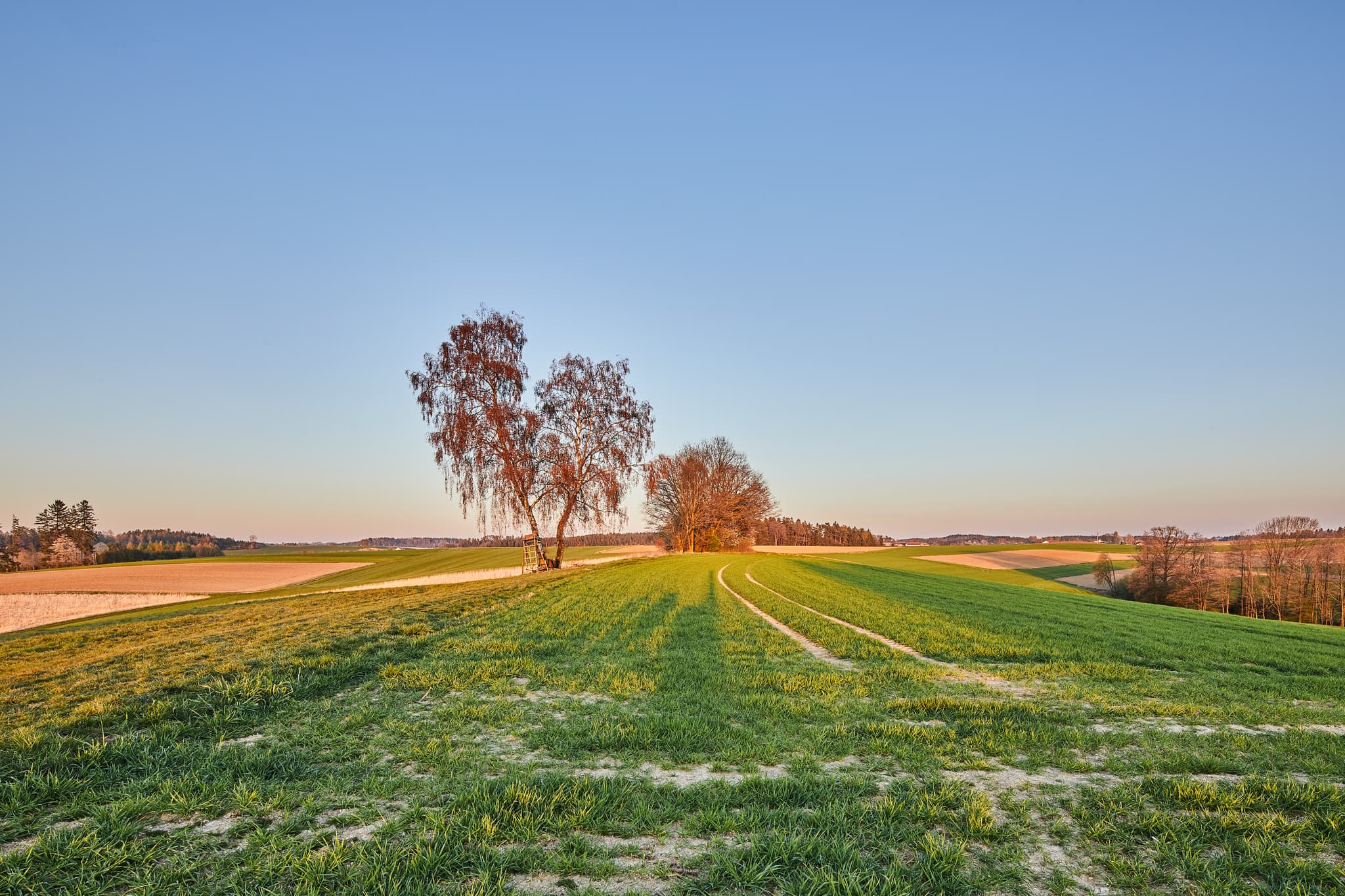 Landschaftsbild am Feldkreuz bei Arbing, Reischach im Landkreis Altötting, Oberbayer. Felder und Hügel in einer weiten Naturumgebung.