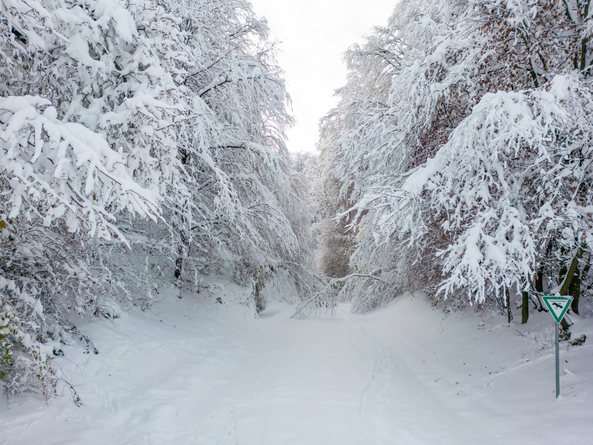 Winterliches Luftbild von Marktl am Inn nach einem Schneebruch am Bruckberg in Oberbayern, Inn-Salzach Region, Deutschland. Eindrucksvolle Schneelandschaft.