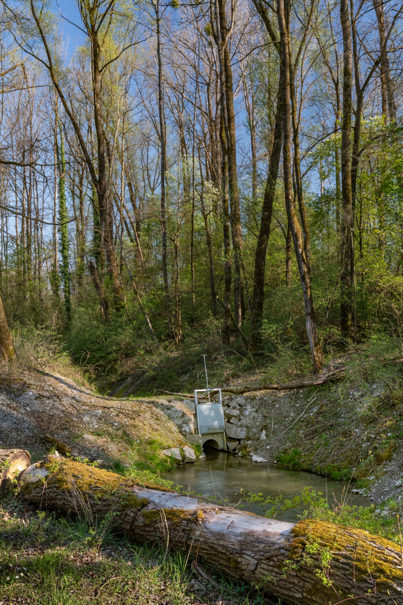 Fischtreppe am Inn Kraftwerk in Stammham, Altötting, Oberbayern, Deutschland. Anlage im Inn-Salzach Gebiet, von Wald umgeben.