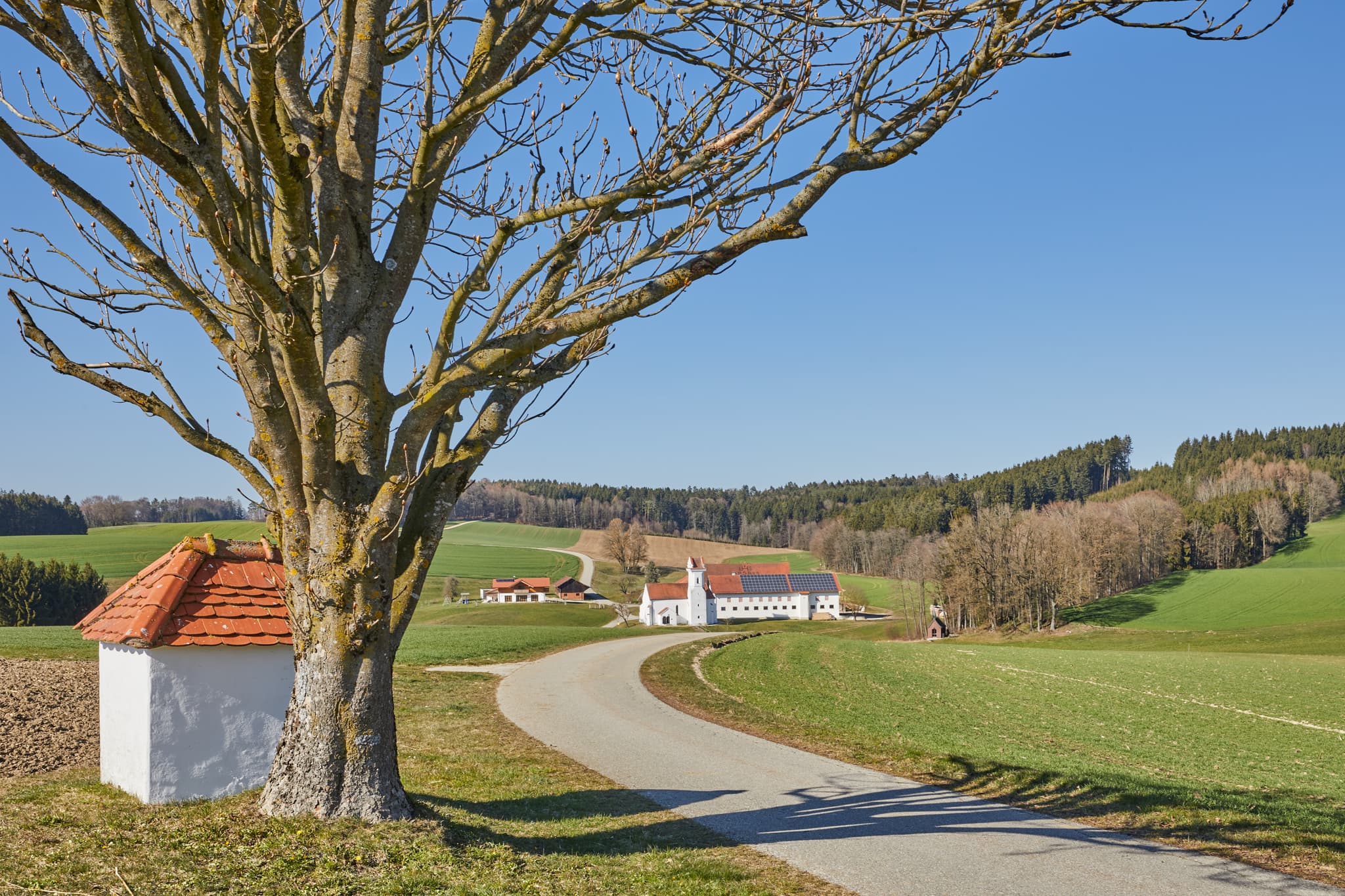 Landschaft in Birnbach, Erlbach, Altötting, Oberbayern, Deutschland. Alter Baum, Bildstock, Weg durch grüne Felder, Gebäude im Hintergrund. Inn-Salzach Region.