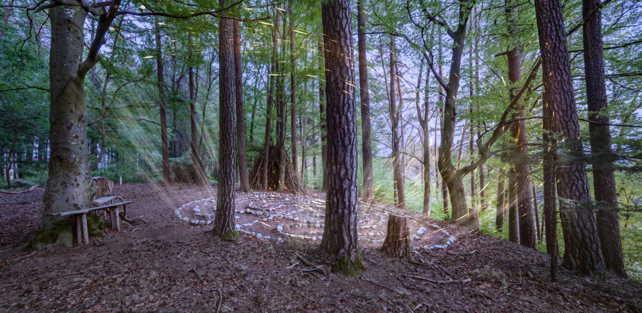 Steinlabyrith: Schildthurn Schmiding, Zeilarn, Rottal-Inn, Niederbayern, Holzland, Deutschland. Wald mit Steinpfad, Bäumen, Sonnenstrahlen. Ruhige Kulisse.