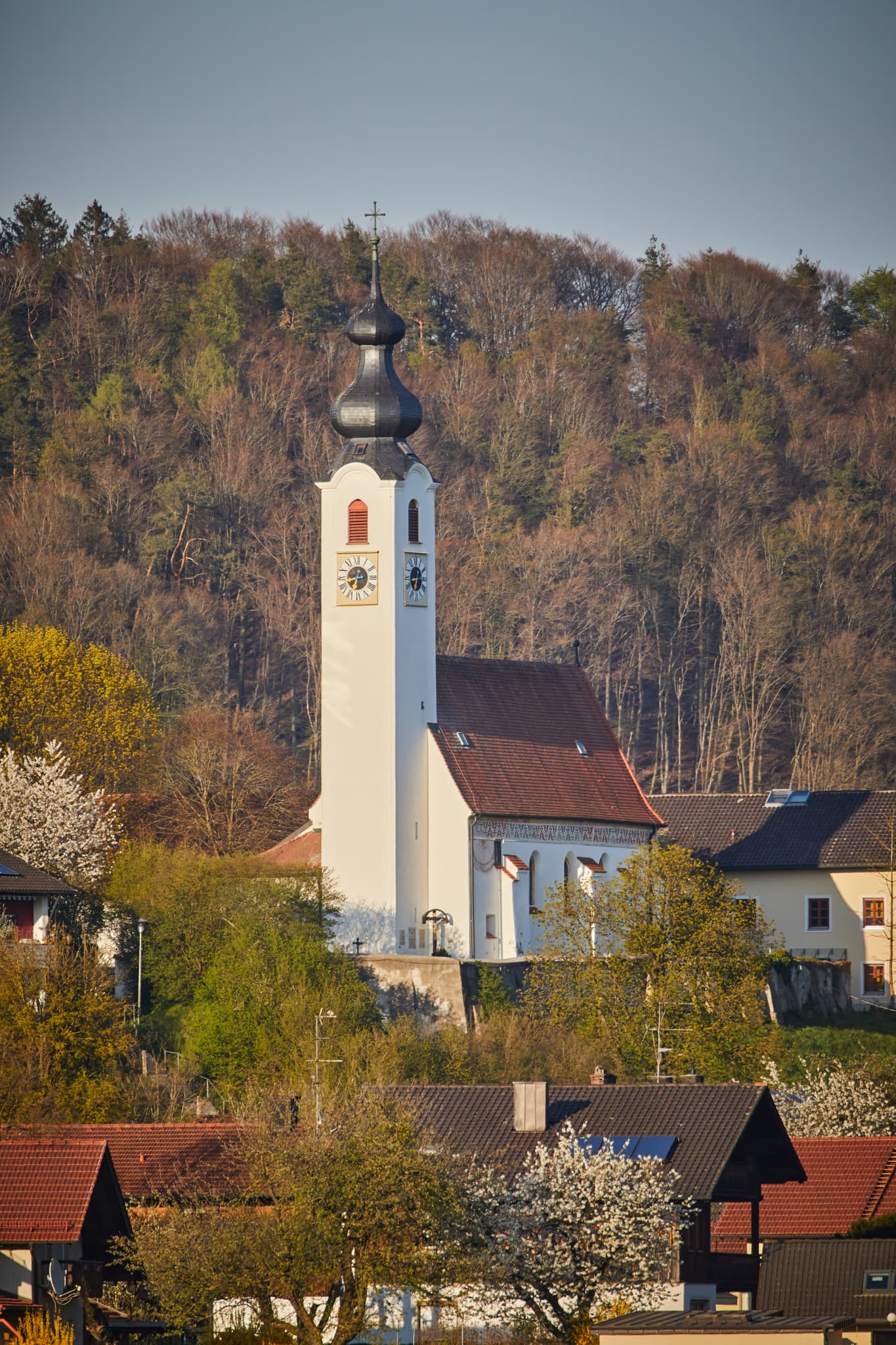 Pfarrkirche Mariä Himmelfahrt in Perach, Landkreis Altötting, Oberbayern. Motiv zeigt die Kirche umgeben von Wohnhäusern und Wald, Region Inn-Salzach.