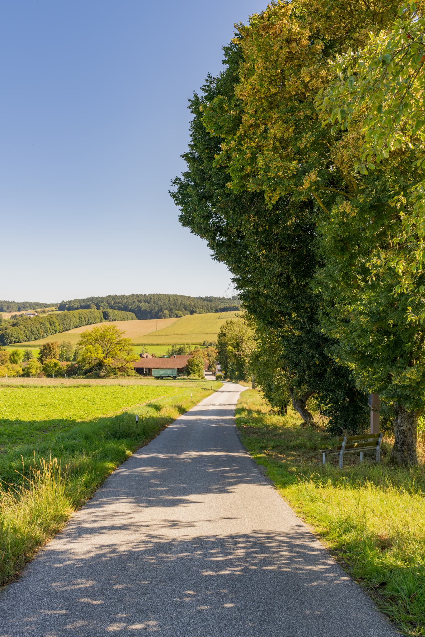 Straße nach Guteneck, Johanniskirchen, Sulzbachtal, Landkreis Rottal-Inn, Niederbayern, Holzland, Deutschland, Bildstock mit Bank am Wegesrand.
