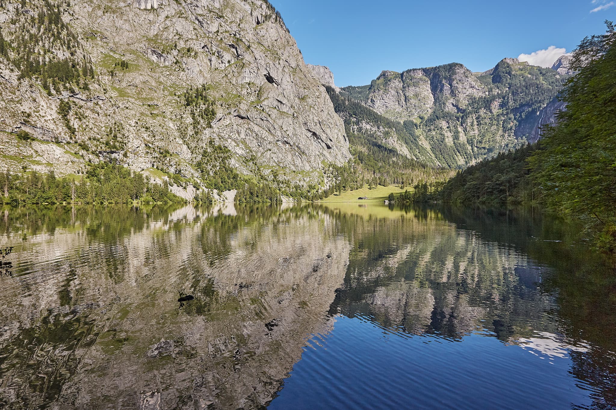 Obersee bei Schönau im Berchtesgadener Land, Oberbayern, Deutschland. Alpen spiegeln sich im klaren Bergsee, umgeben von Wäldern und grünen Wiesen.