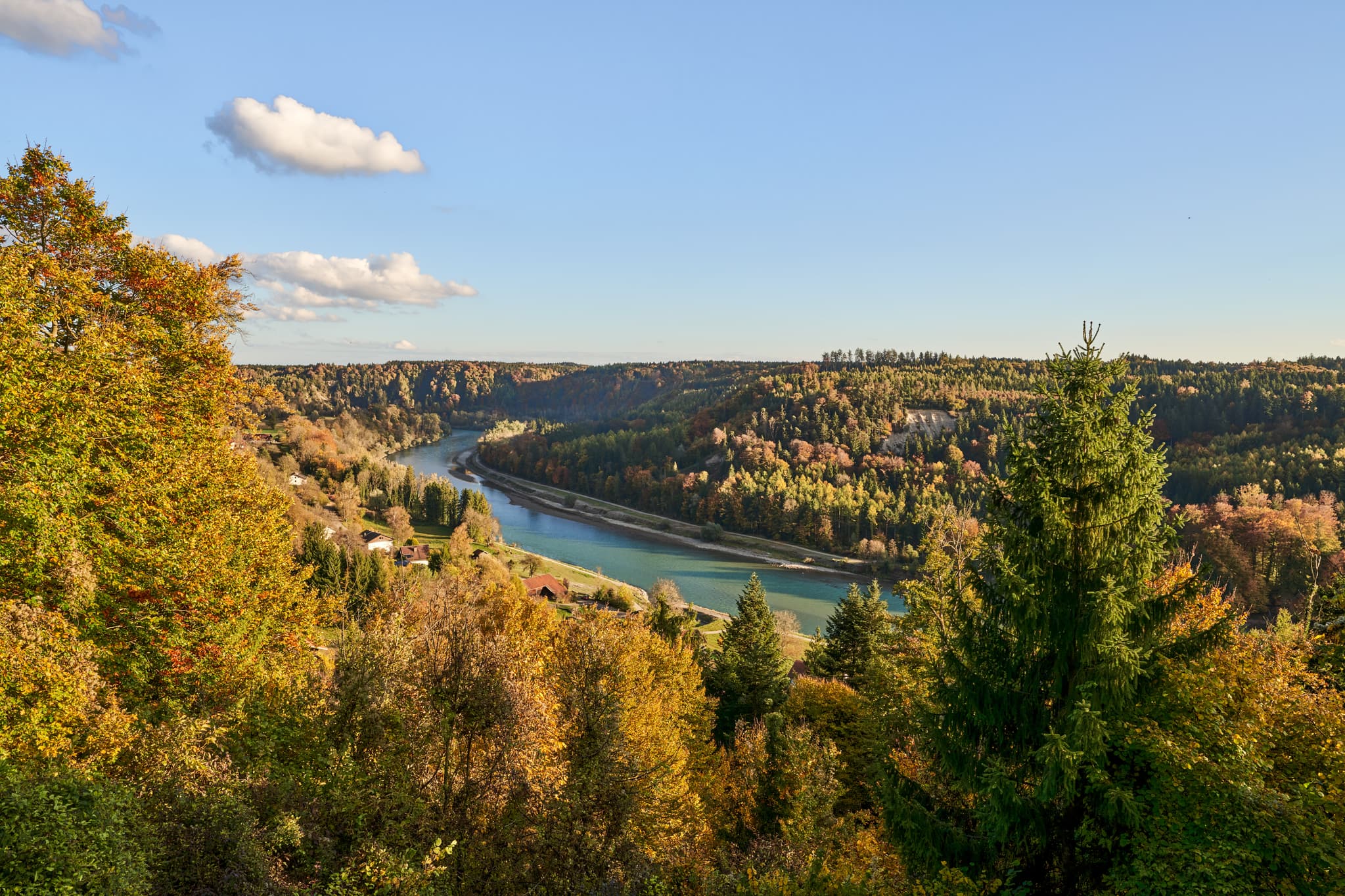 Blick auf die Salzach von Salzachblick Pirach in Burgkirchen, Altötting. Der Fluss schlängelt sich durch herbstlich gefärbte Wälder.