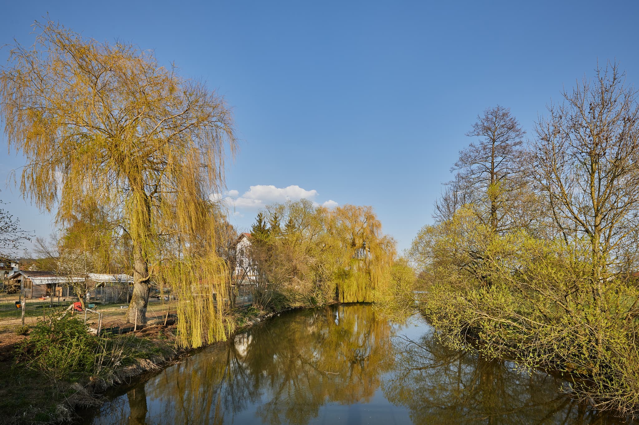 Landschaftliche Aufnahme der Rott mit Weidenbäumen in Oberdietfurt, Gemeinde Massing. Landkreis Rottal-Inn, Niederbayern, Region Holzland, Deutschland.