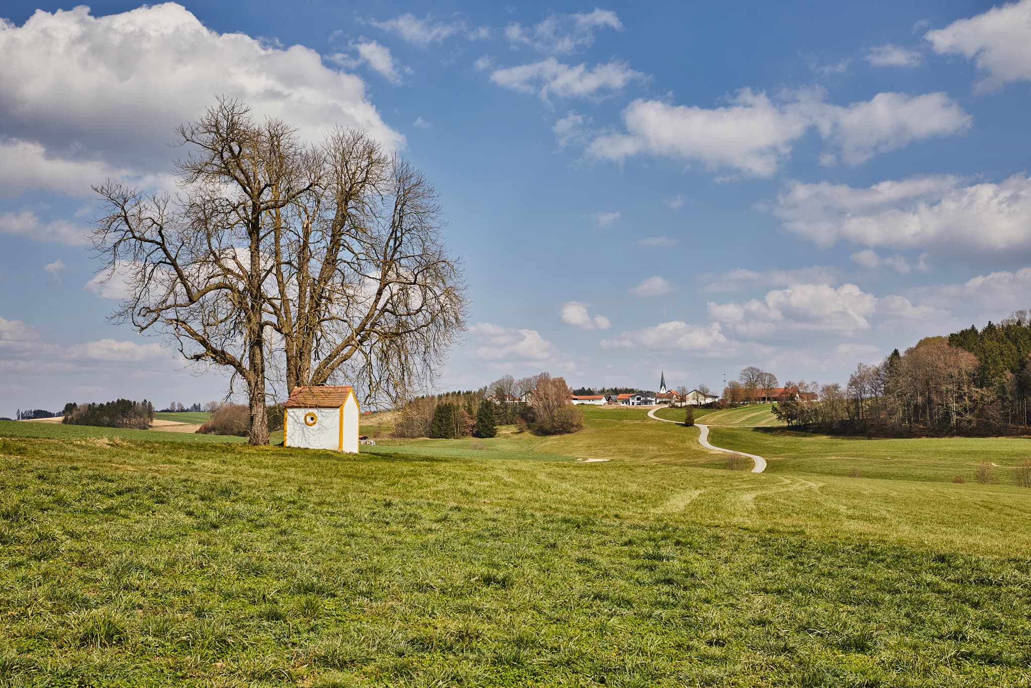 Bildstock zwischen Ecking und Arbing, Reischach, im Landkreis Altötting, Oberbayern, Holzland, Deutschland, mit grünen Wiesen und Kastanien.
