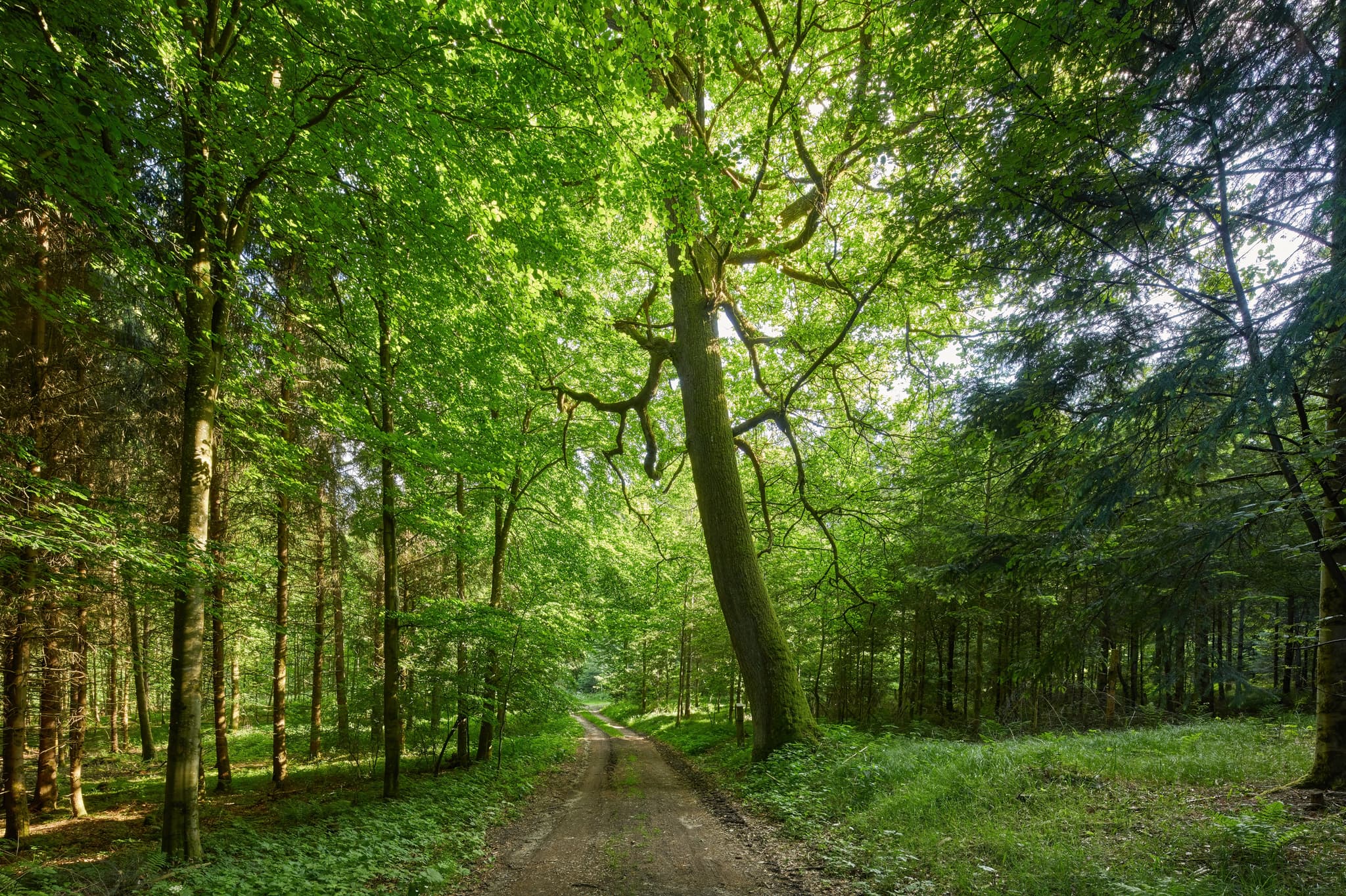 Engfurt, Enfurter Kreuzweg in Töging am Inn, Landkreis Altötting, Oberbayern. Idyllische Landschaft in Deutschland, Region Inn-Salzach. Natur pur!