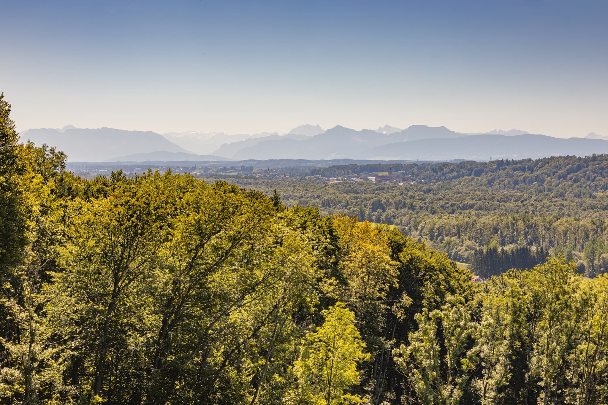 Ausblick über Waldlandschaft im Hadermarkt, St. Radegund, Braunau am Inn, Oberösterreich, Innviertel, Österreich. Panoramablick über die Natur.