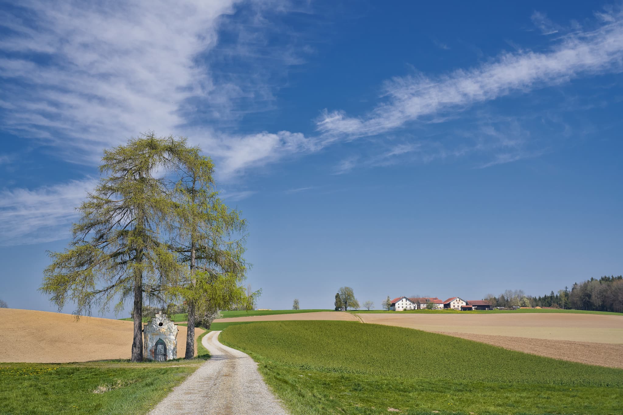 Idyllische Landschaft in Mettenheim, Mühldorf am Inn, Oberbayern. Kapelle mit Bäumen am Feldweg, umgeben von Feldern u. Höfen.