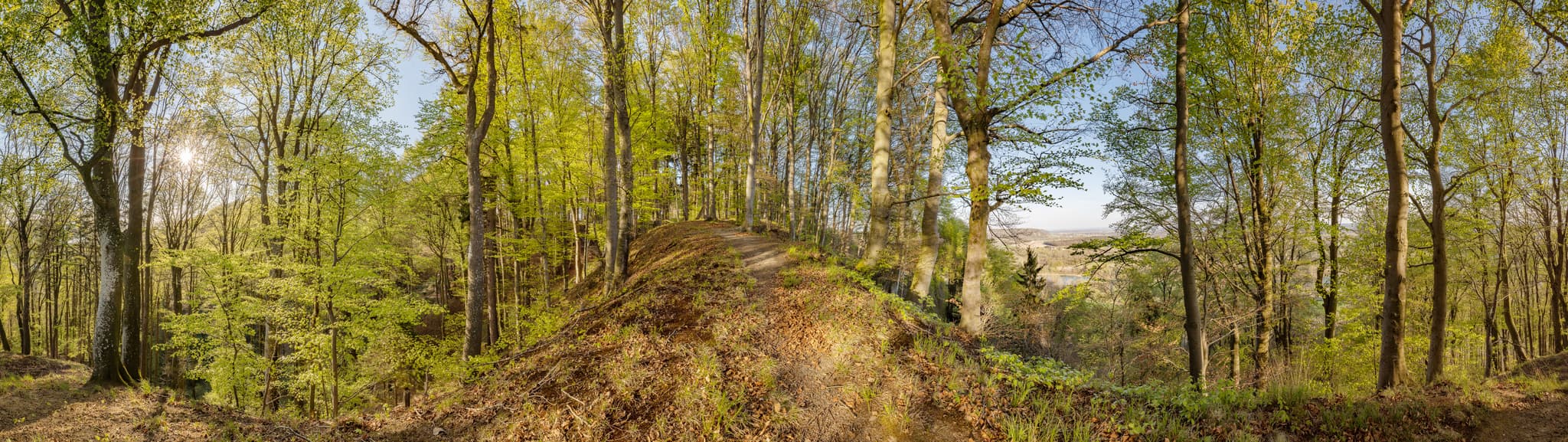 Weites Waldpanorama mit Pfad in Berg, Perach, Altötting, Oberbayern. Die Region Inn-Salzach in Deutschland bietet einen schönen Ausblick über die Landschaft.