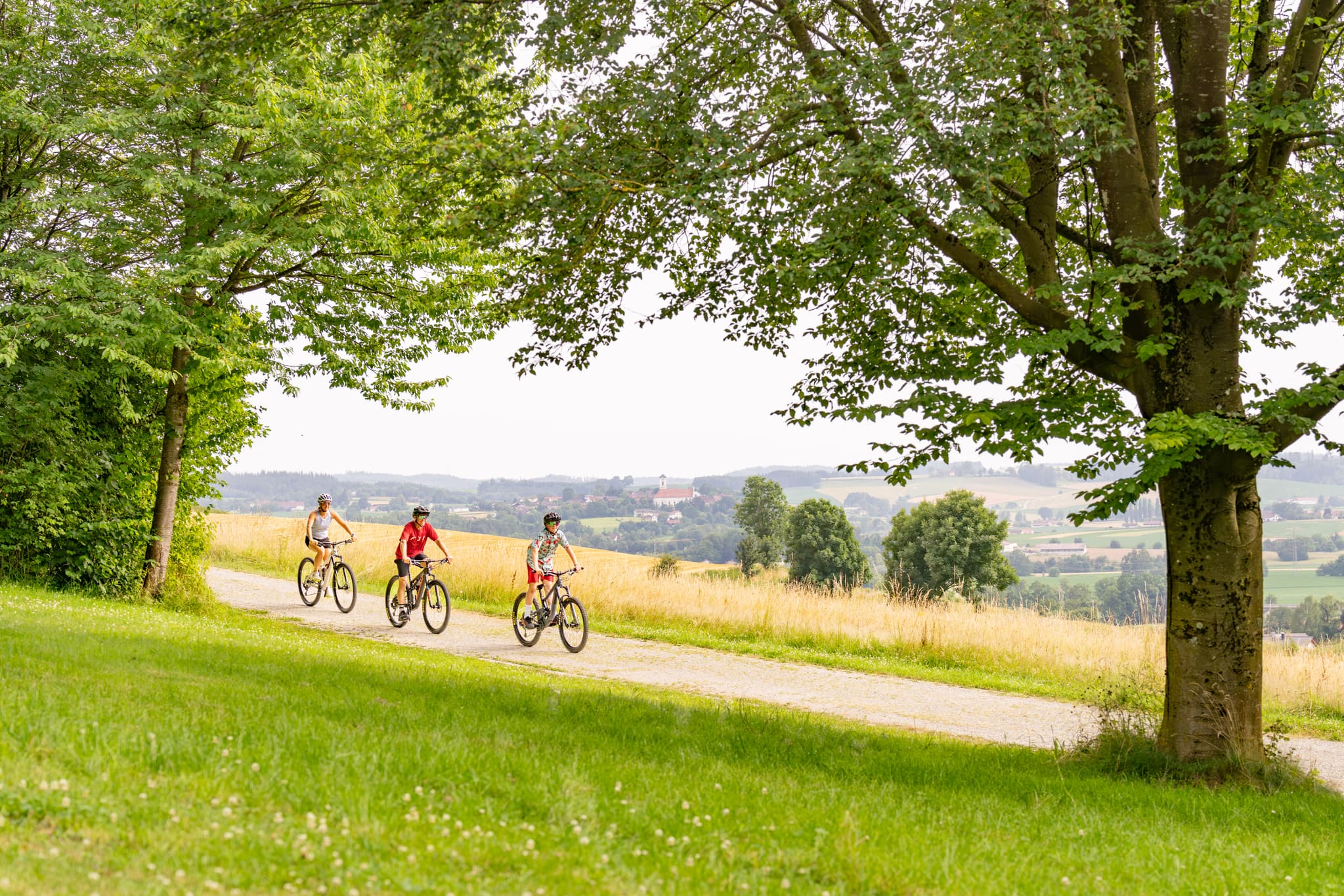 Mountainbiker auf einem Weg in der hügeligen Landschaft des Kurparks in Bad Griesbach, Landkreis Passau, Niederbayern.