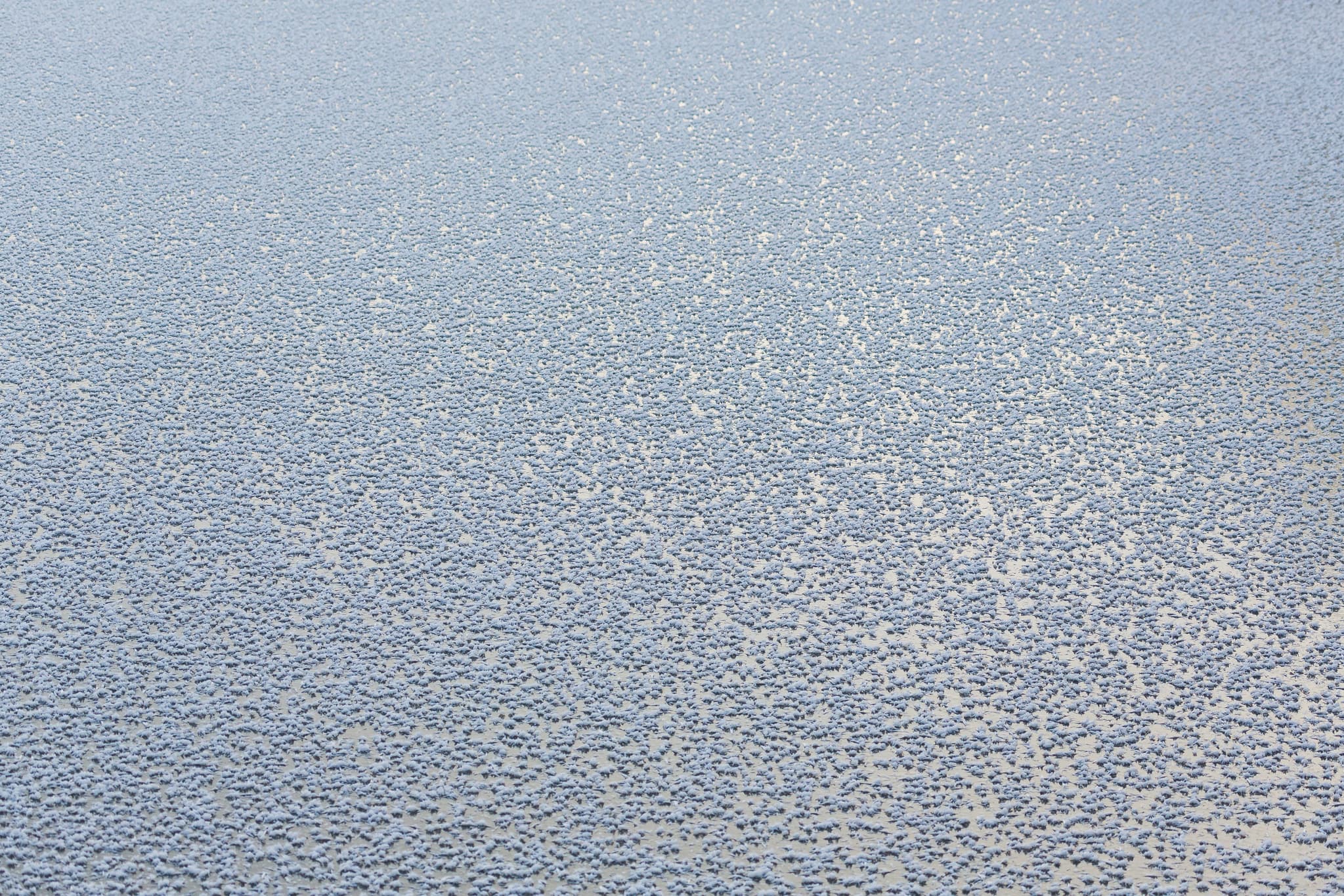 Isenstausee bei Winhöring, Landkreis Altötting, Oberbayern, Deutschland. Winterlandschaft mit Eiskristallen auf gefrorenem Wasser. Region Inn-Salzach.