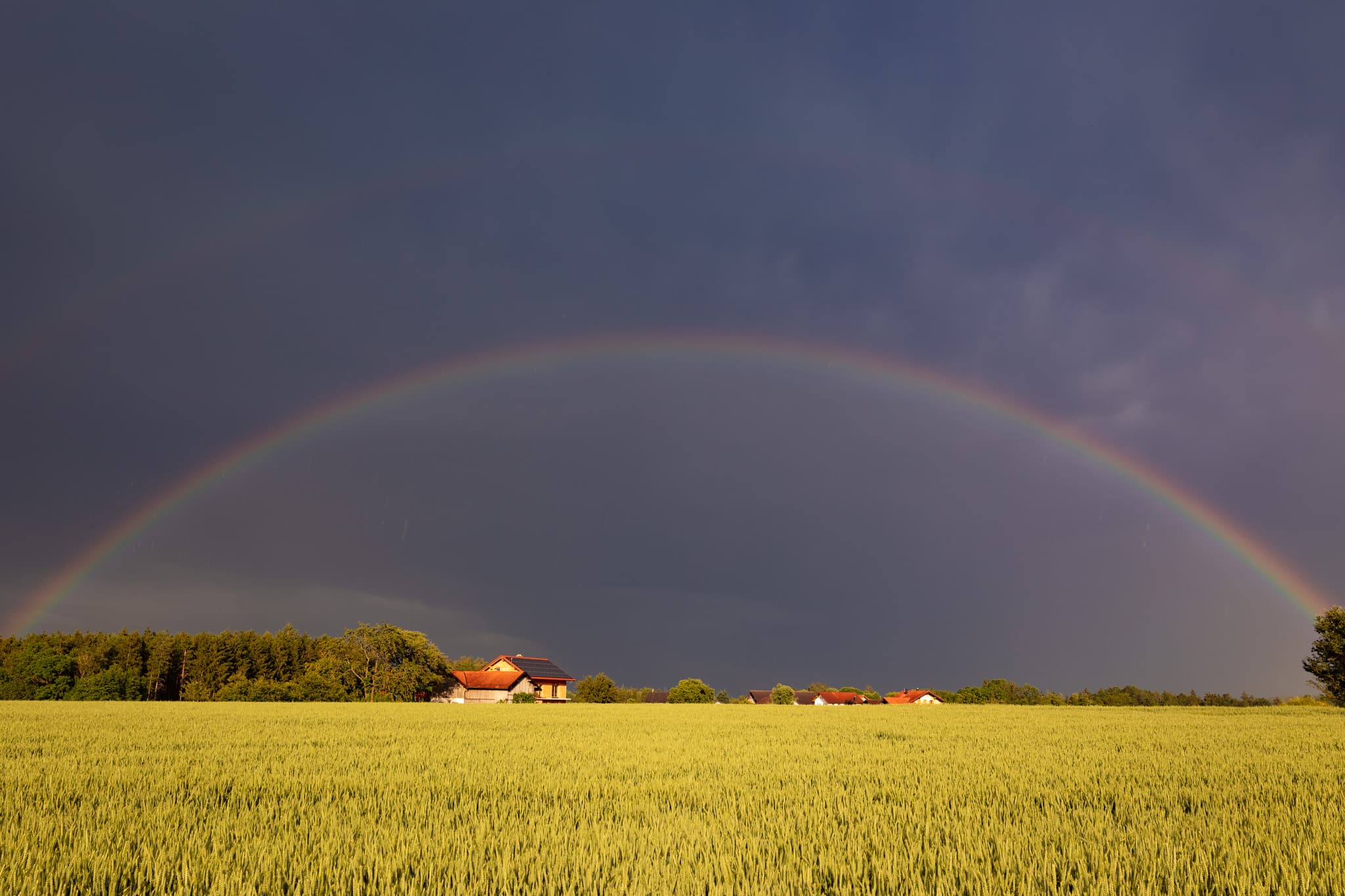 Regenbogen über einem Getreidefeld bei Amering, Stubenberg, Landkreis Rottal-Inn, Niederbayern, Region Holzland, Bäderdreieck, Deutschland.