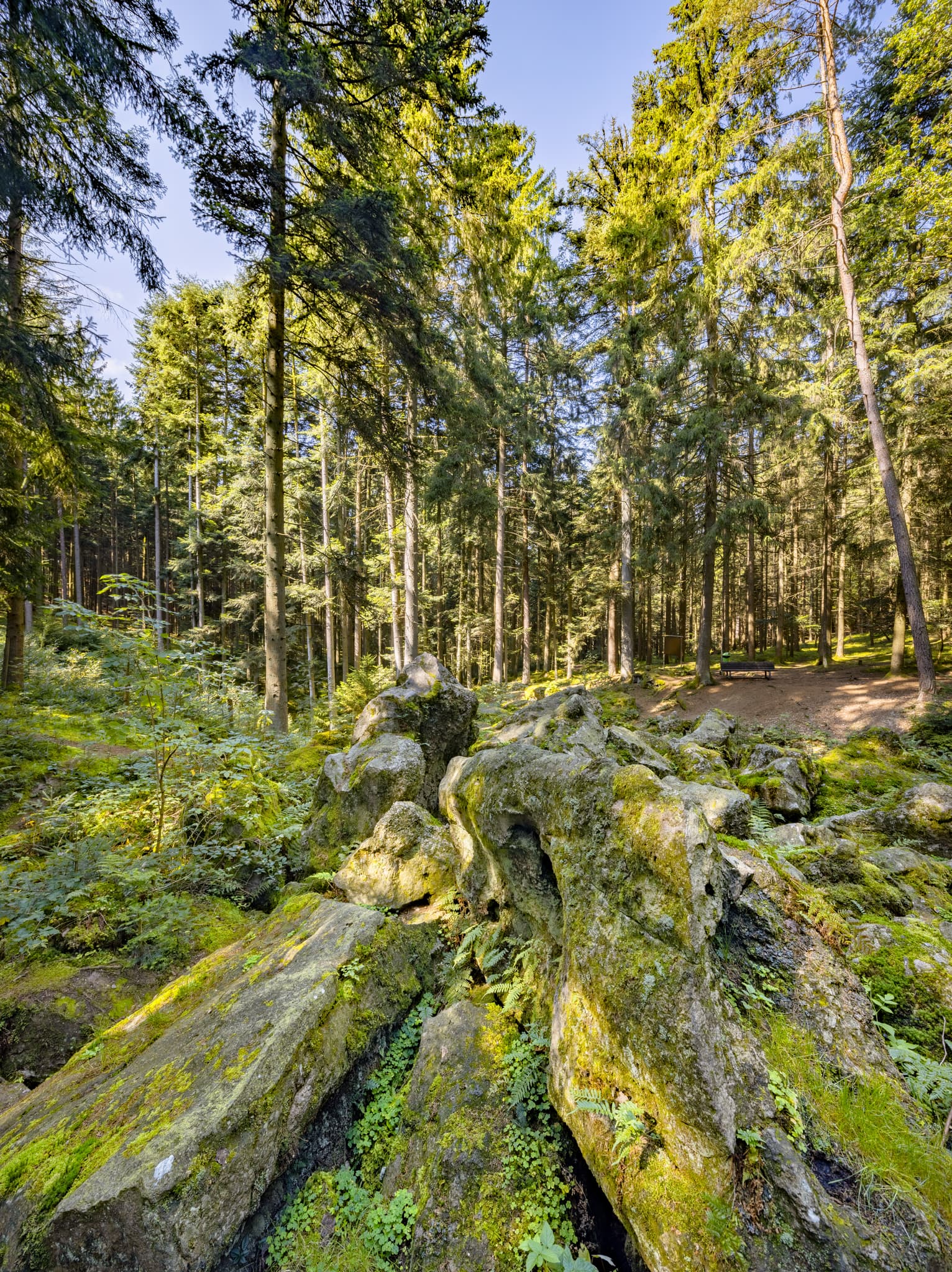 Geotop im Waldgebiet mit großen Geröll-Steinen aus der Eiszeit in Voglarn bei Triftern, Rottal-Inn, Niederbayern, Holzland, Bäderdreieck, Deutschland.