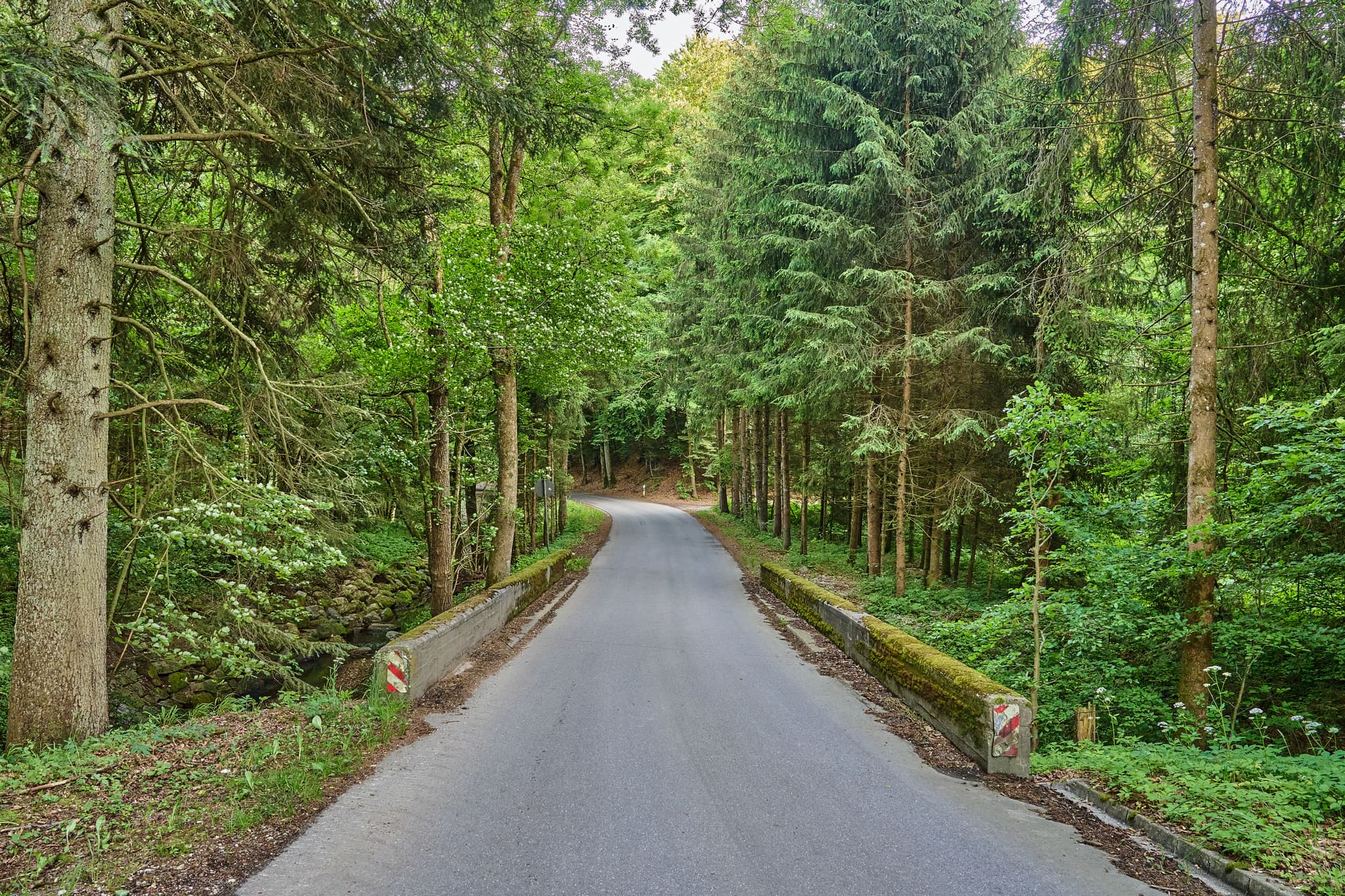 Weg mit Brücke über Birnbach nach Perach, Ortsteil von Erlbach, Landkreis Altötting. Naturmotiv in Oberbayern, Region Inn-Salzach, Deutschland.