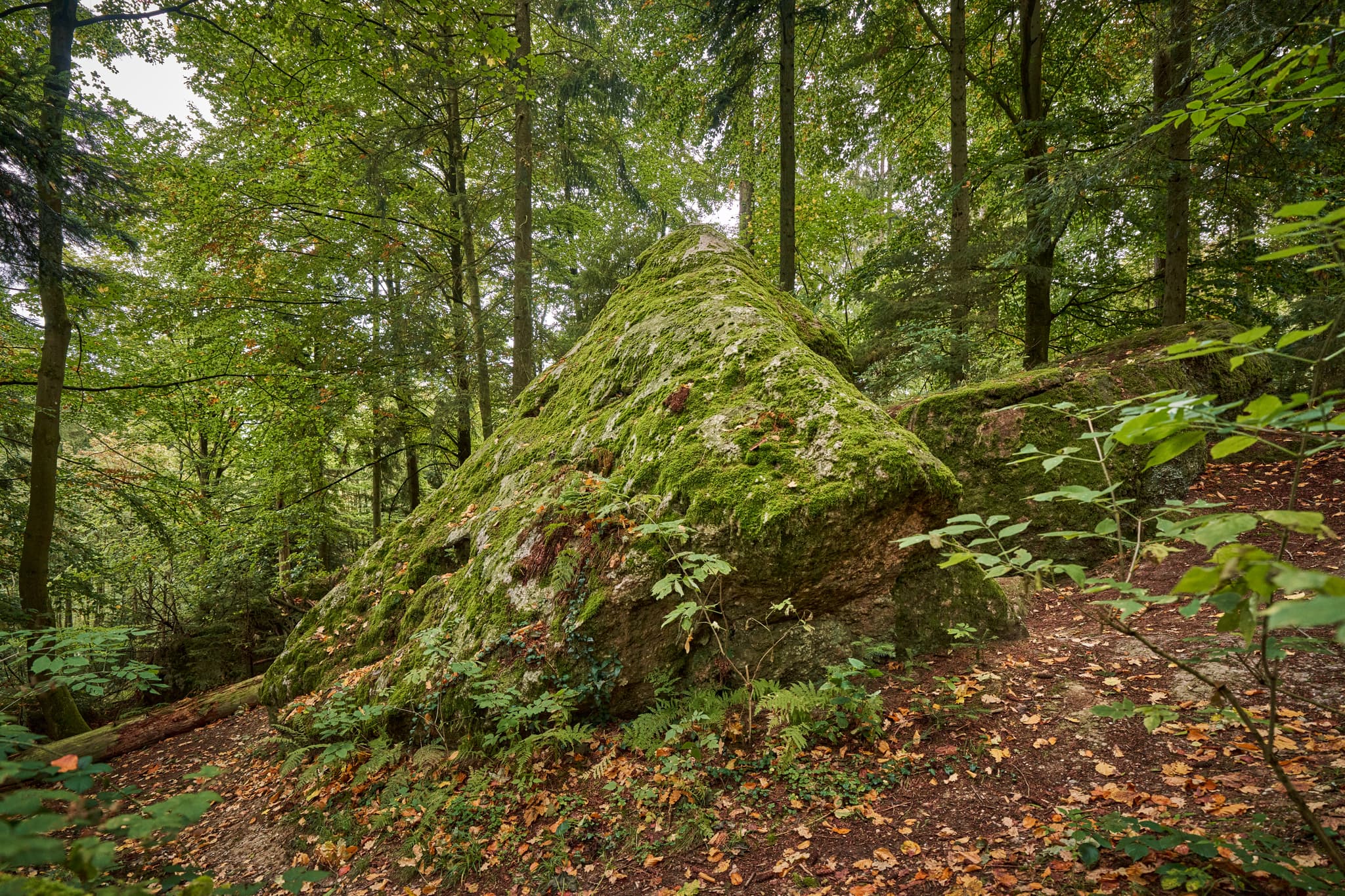 Teufelsstein in Bad Griesbach, Landkreis Passau, Niederbayern, Bayern, Deutschland. Das Bild zeigt Details der Felsstrukturen mit Farbreste.