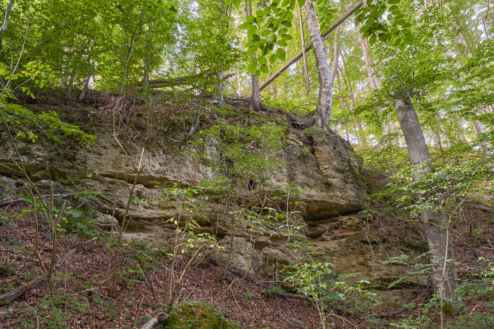 Felsformation, lt. Einheimischen auch Geologische Orgeln, in Klaffl, Gemeinde Kastl, Landkreis Altötting, Oberbayern, Deutschland, umgeben von Wald.