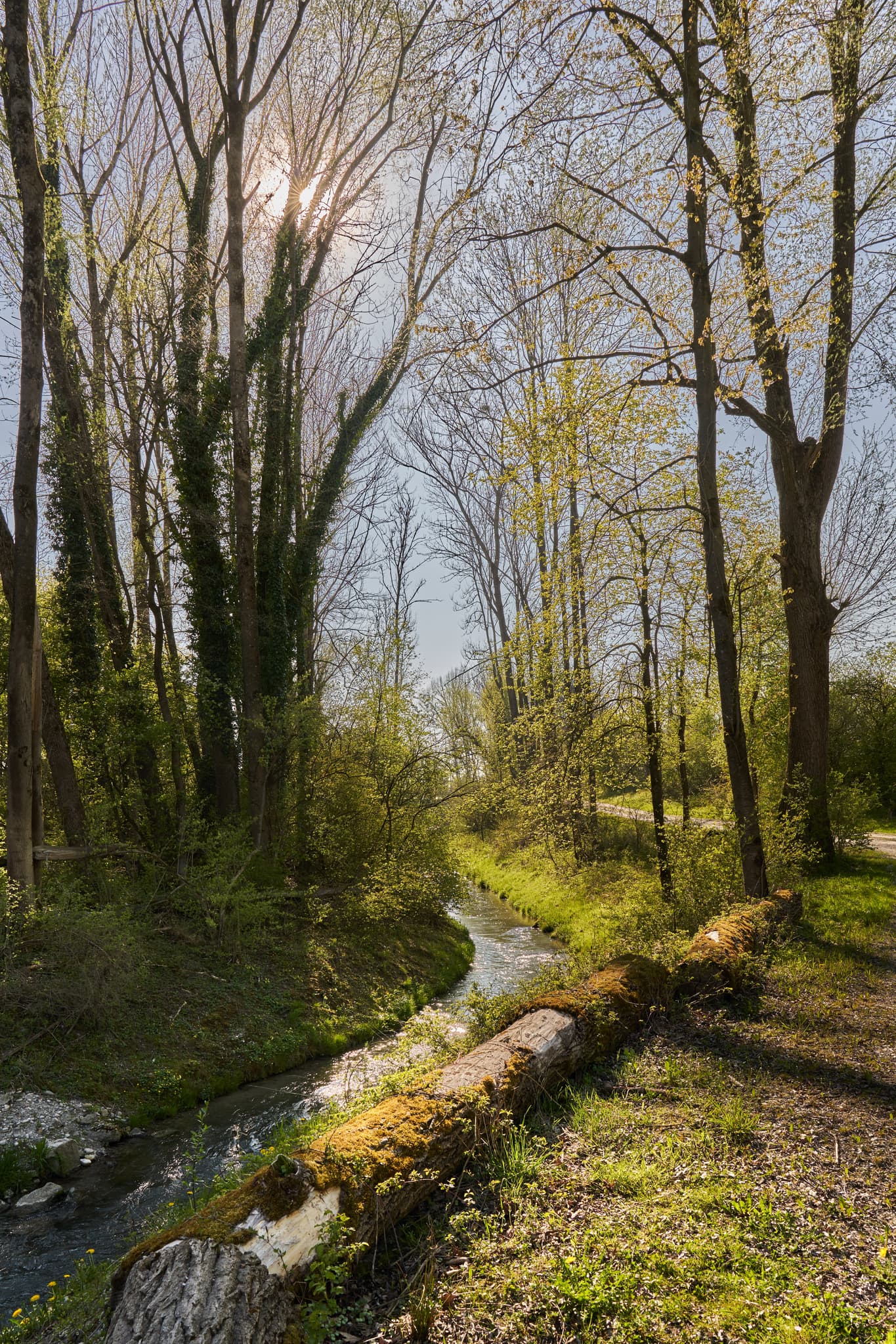 Fischtreppe am Kraftwerk in Stammham, Landkreis Altötting, Oberbayern. Bachlauf mit Baumstamm und Bäumen. Idyllische Natur im Inn-Salzach Gebiet, Deutschland.