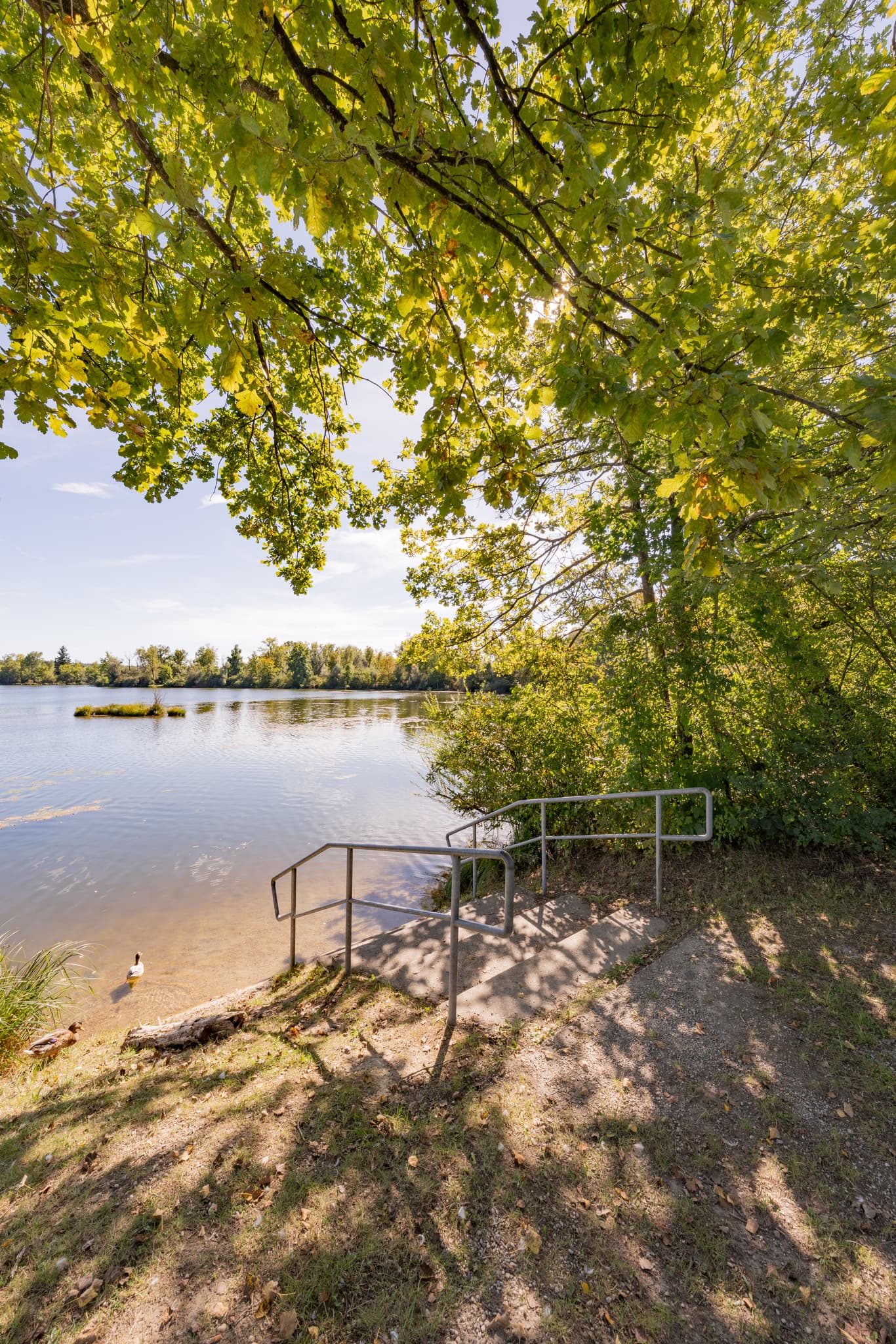 Sommertag am Waldsee Lago, Badesee Simbach, Kirchdorf am Inn, Rottal-Inn. Badetreppe führt ins klare Wasser. Natur im Holzland, Niederbayern, Deutschland.