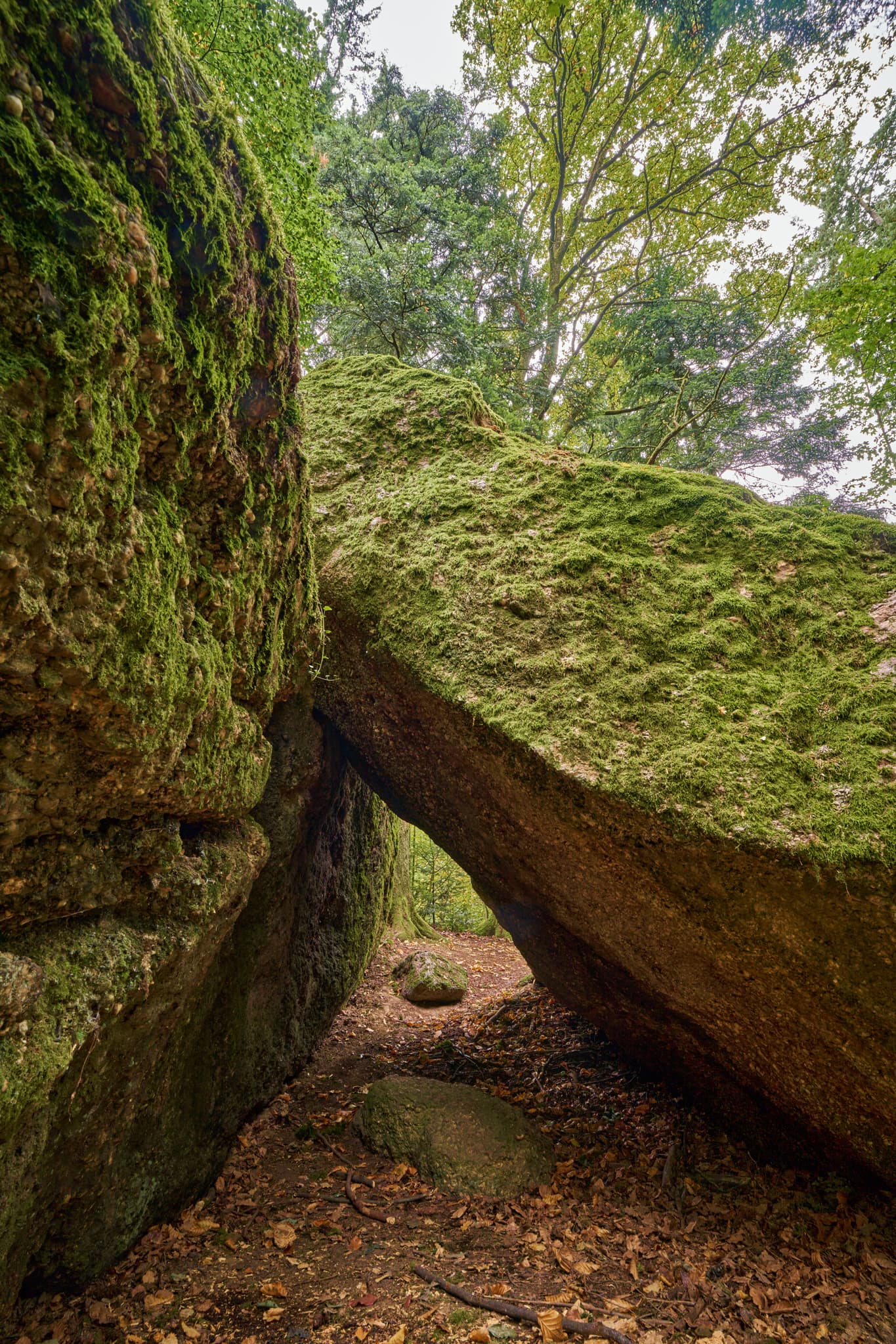 Teufelsstein in Bad Griesbach, Landkreis Passau, Niederbayern, Bayern, Deutschland. Das Bild zeigt Details der Felsstrukturen mit Farbreste.