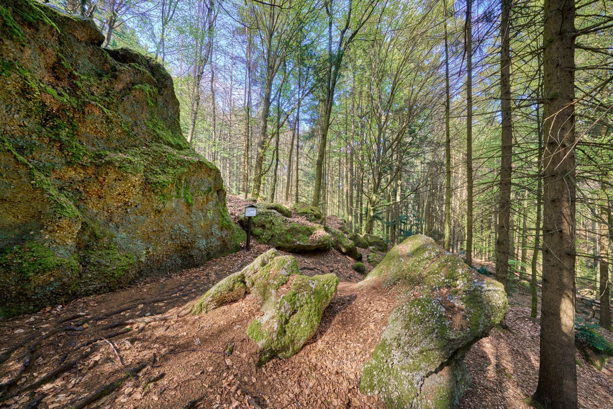 Waldlandschaft mit Felsen in St. Salvator Luisenburg, Bad Griesbach. Landkreis Passau, Niederbayern, Bayern, Deutschland.
