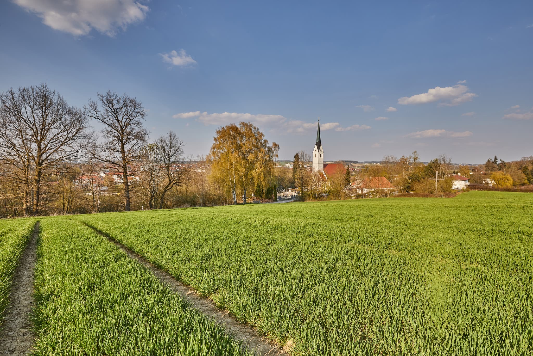 Landschaftsaufnahme mit Pfarrkirche St-Stephan in Massing, Gemeinde Massing, Landkreis Rottal-Inn, Niederbayern, Region Holzland, Deutschland.