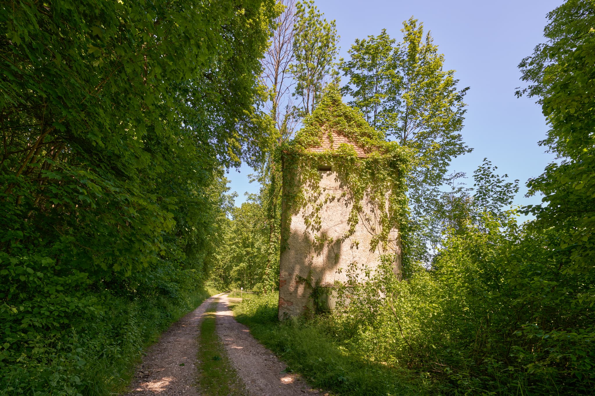 Ecksberg Turm bei Kronwidlkapelle: alter, bewachsener Turm an Waldweg in Mühldorf. Landschaft im Landkreis Mühldorf am Inn, Oberbayern, Inn-Salzach.
