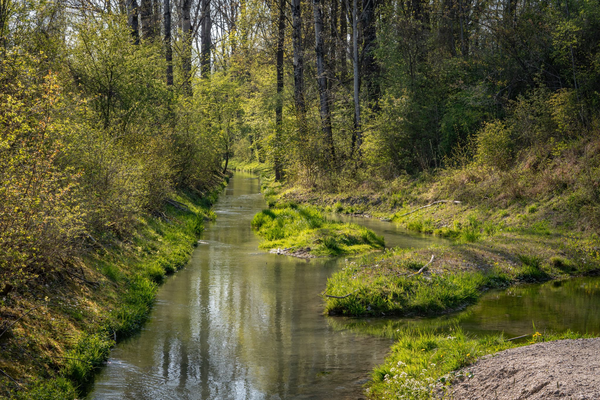 Fischtreppe am Inn Kraftwerk in Stammham, Landkreis Altötting, Oberbayern. Das Gewässer ist von dichter Ufervegetation umgeben.