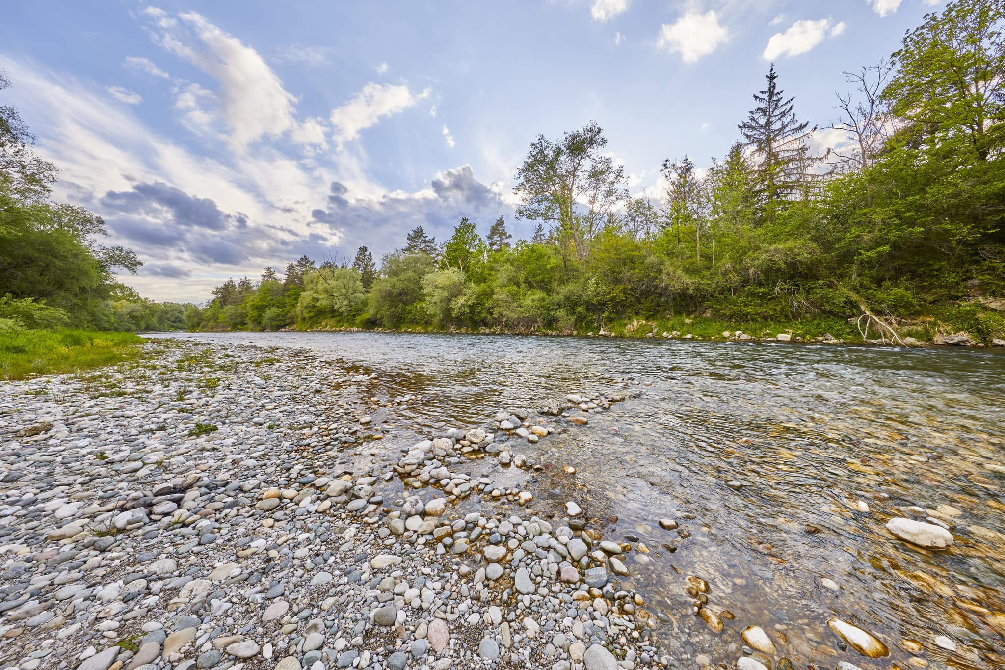 Uferlandschaft an der Alz bei Wald an der Alz, Garching im Landkreis Altötting, Oberbayern, Inn-Salzach, Deutschland. Klares Wasser, Kiesbänke prägen Flussbett.