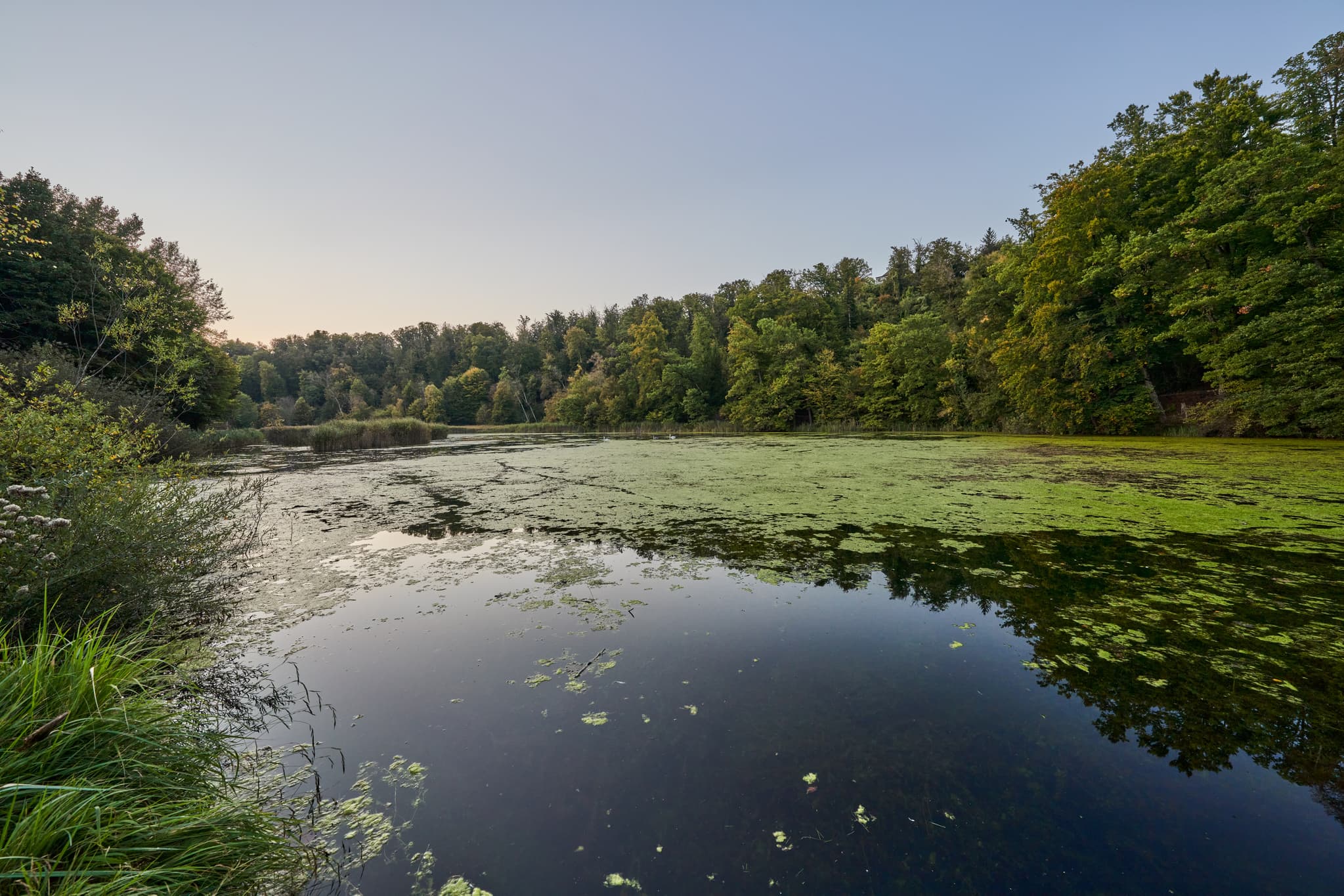 Wöhrsee Burghausen, Altötting, Oberbayern, Inn-Salzach, Deutschland. Ruhige Wasseroberfläche, ufernahe Bäume und herbstliches Laub. Abendstimmung am See.