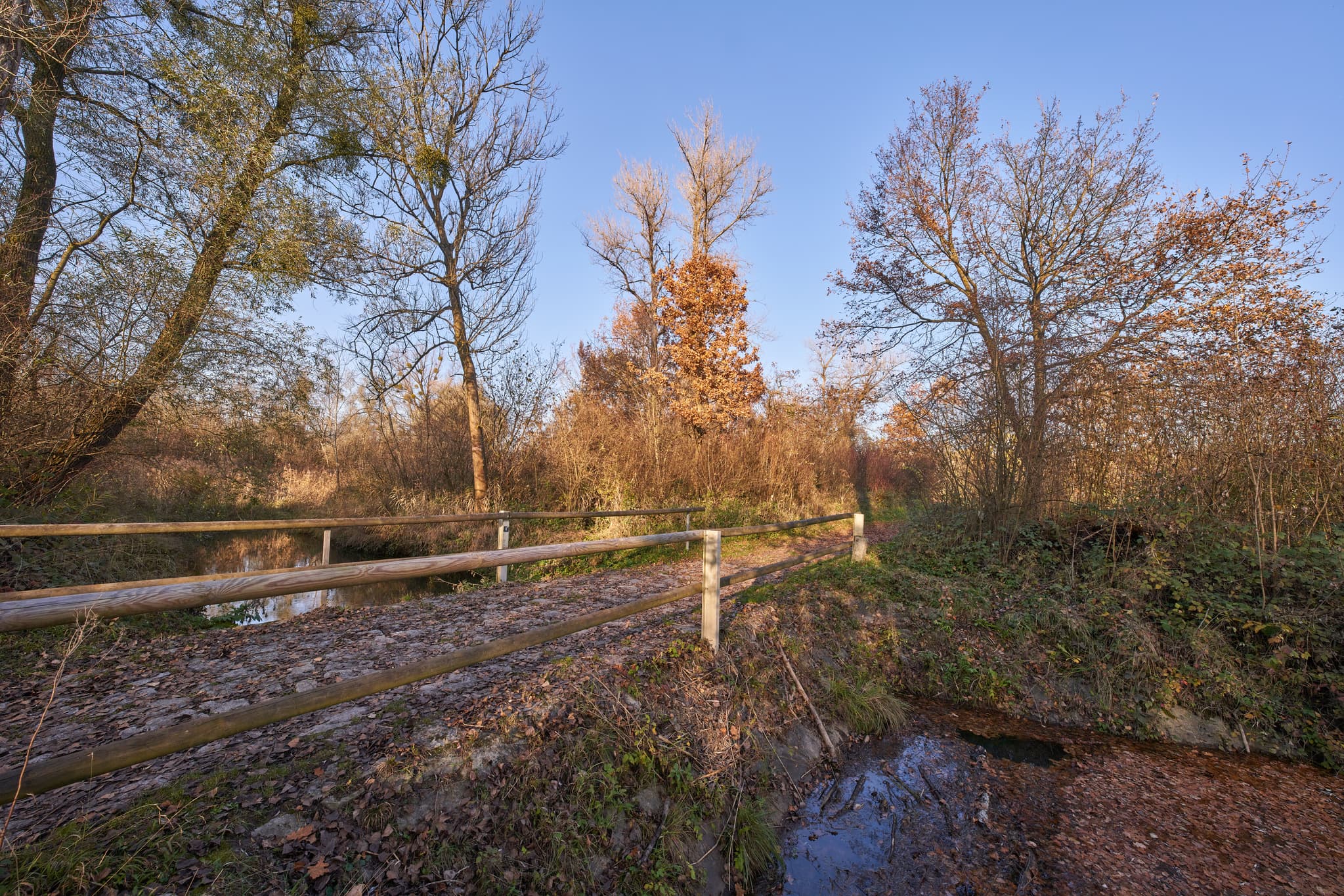 Waldweg in Kirchdorf am Inn, Rottal-Inn, Niederbayern. Die herbstliche Landschaft im Bäderdreieck, Deutschland, zeigt einen Bach, Bäume und Sonnenlicht.