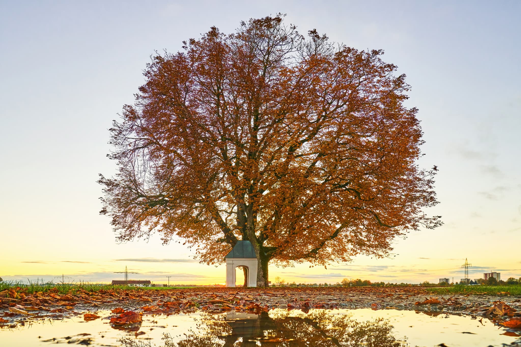 Herbstlandschaft in Neuoetting, Altötting, Oberbayern, Deutschland. Eine Kapelle steht unter einem großen Baum mit goldgelben Blättern.