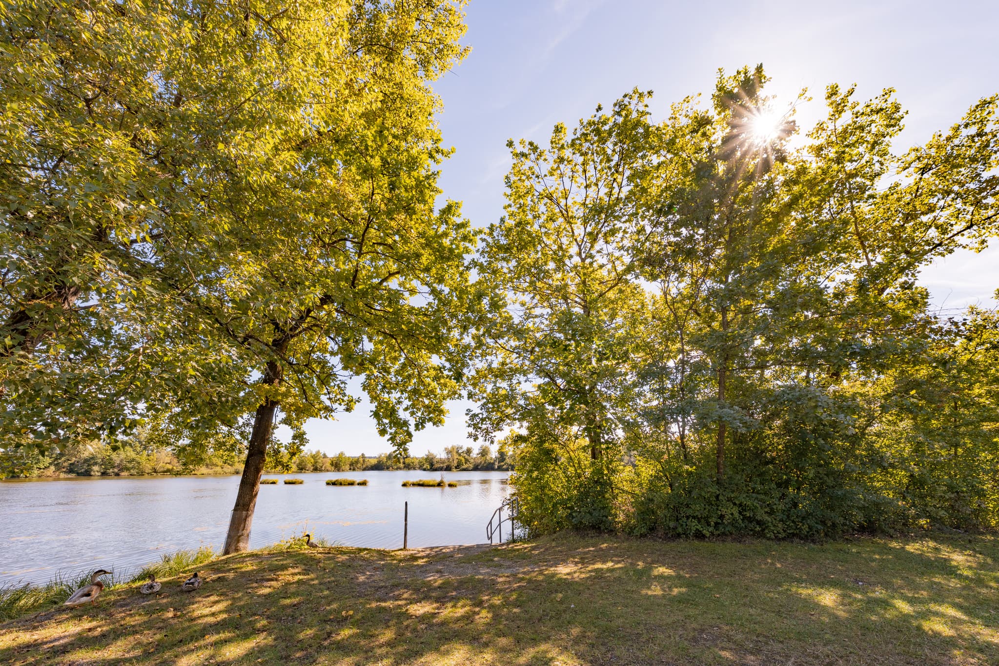 Badesee Simbach, Waldsee Lago im Sommer bei Kirchdorf am Inn, Bäume am Ufer. Naturlandschaft im Landkreis Rottal-Inn, Niederbayern.