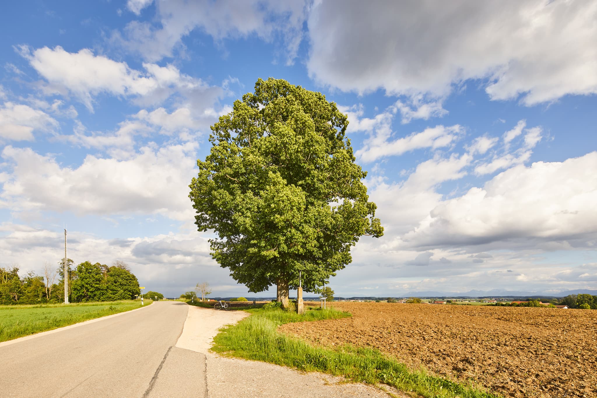 Landschaft mit markantem Baum am Wegesrand bei Garching, Altötting, Oberbayern. Felder und Wiesen unter bewölktem Himmel in der Region Inn-Salzach, Deutschland.